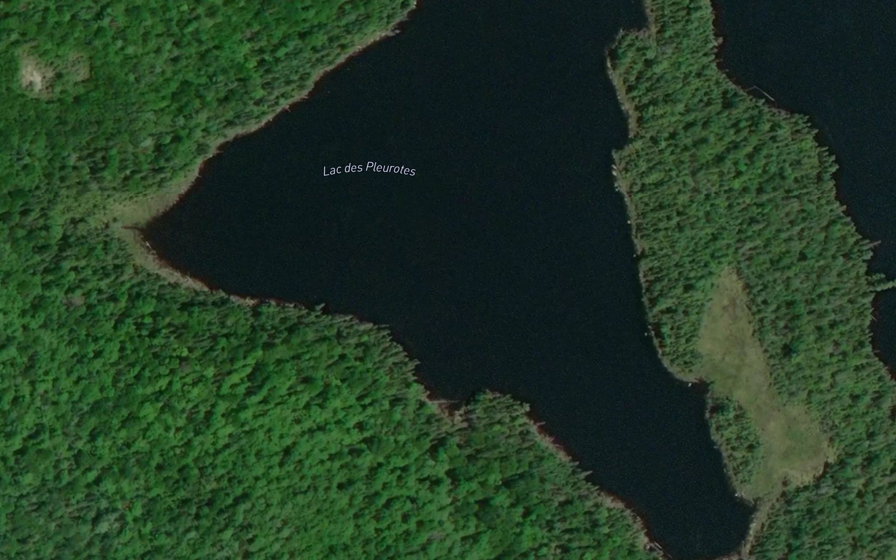 Satellite map of the Lac des Pleurotes