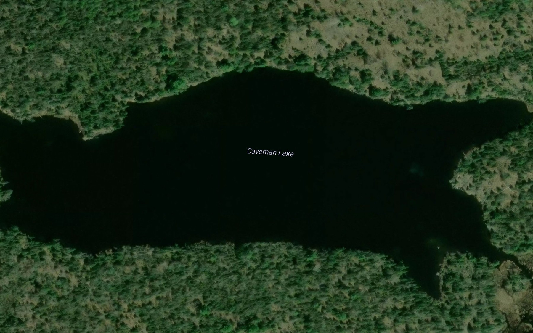 Satellite map of the Caveman Lake