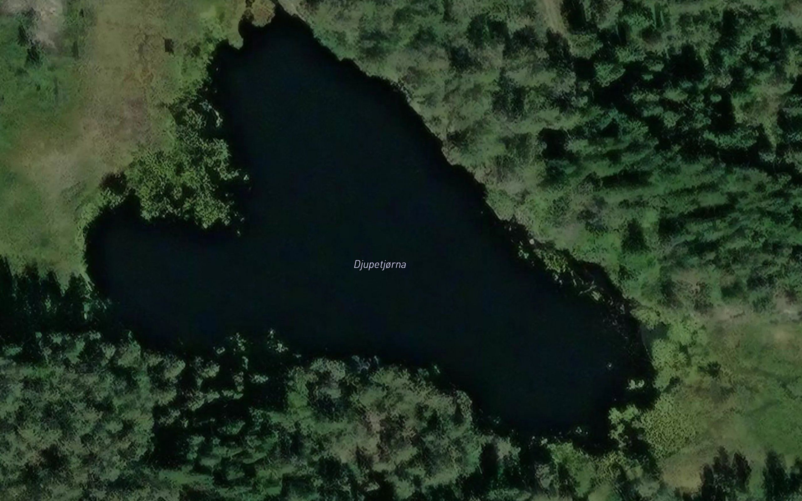 Djupetjorna
