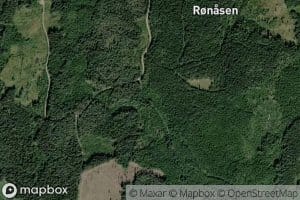 Ronasbekken