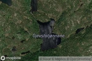 Gjaevestotjornane