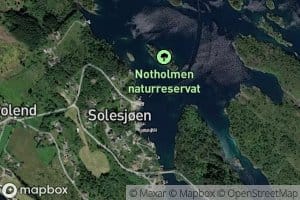 Solesjoen