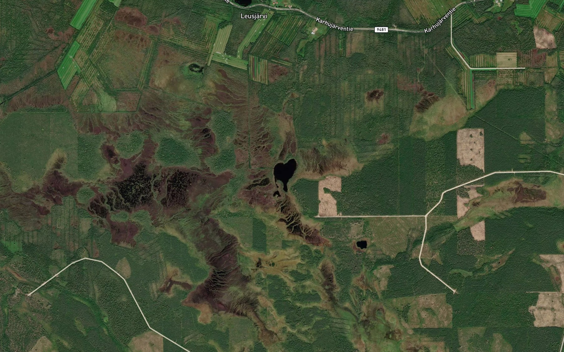 Satellite map of the Taivalkummunlampi