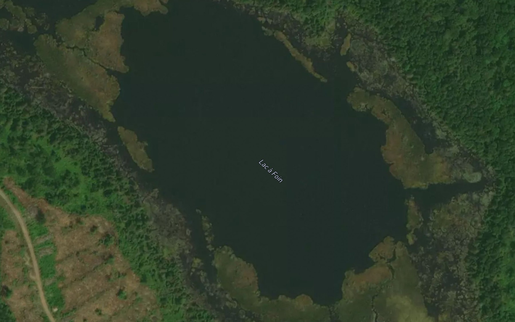Satellite map of the Lac a Foin