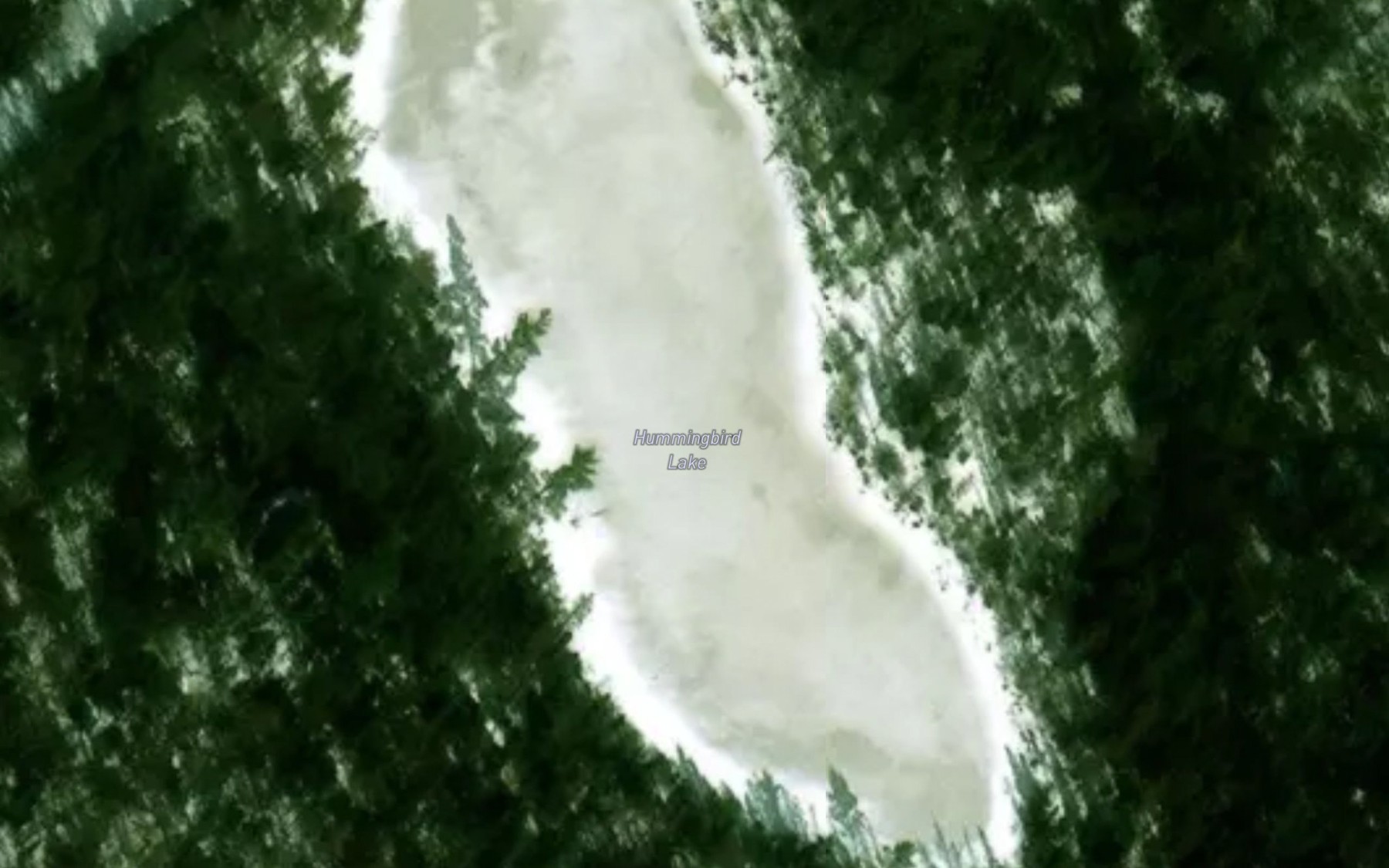 Satellite map of the Hummingbird Lake