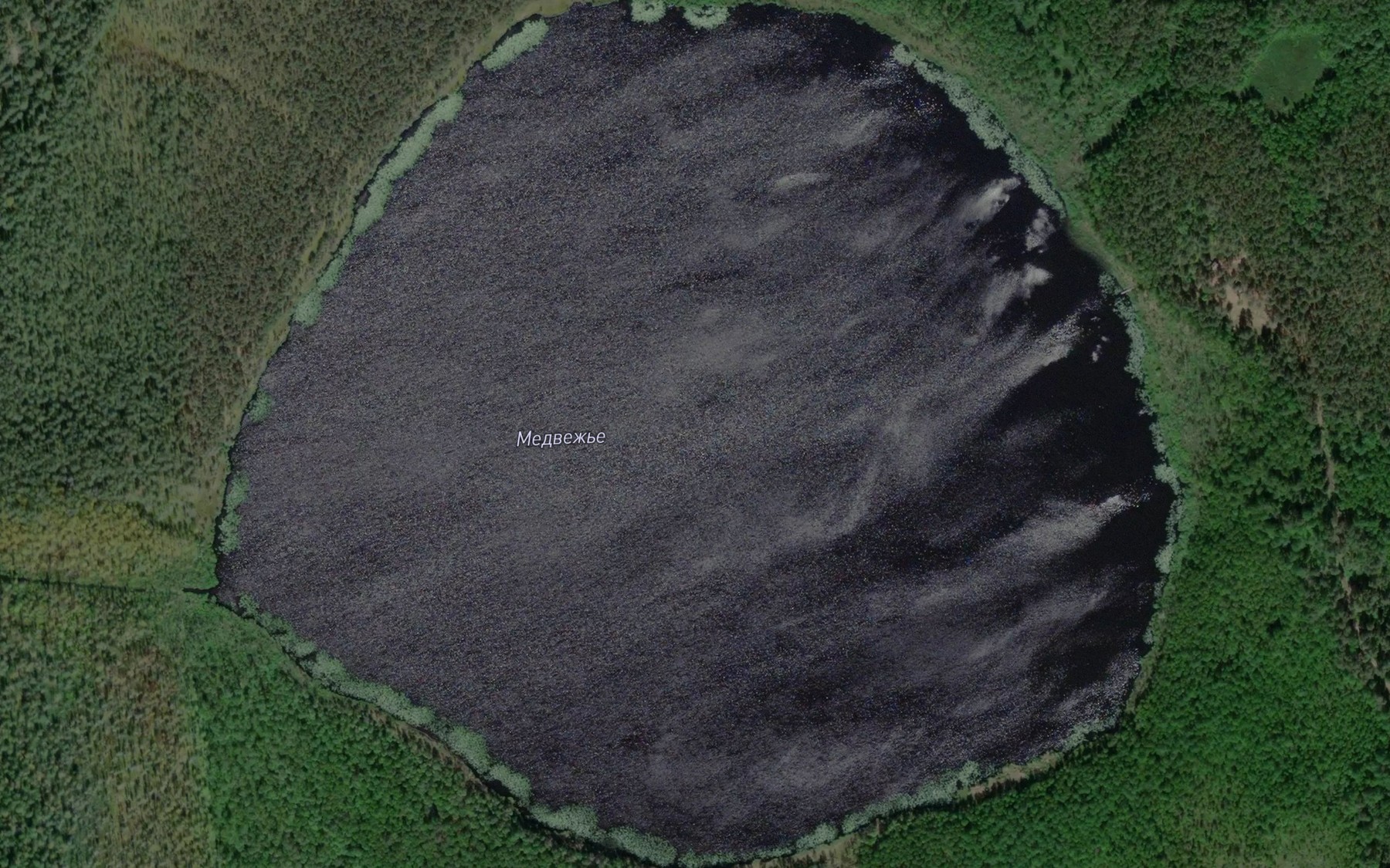Satellite map of the Ozero Medvezh'ye