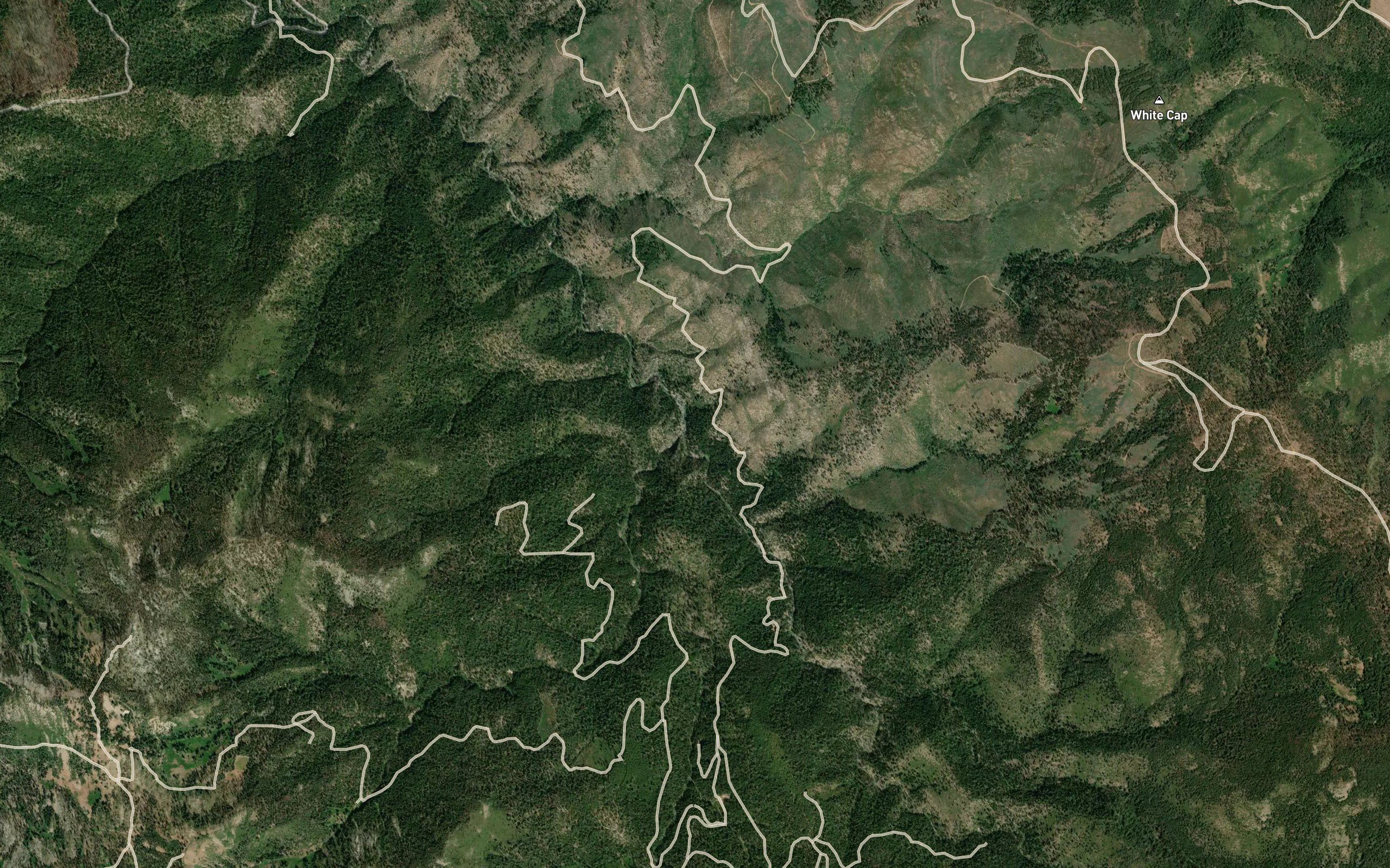 Hopkins Creek