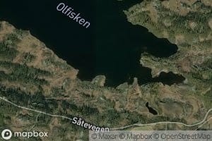 Olfisken