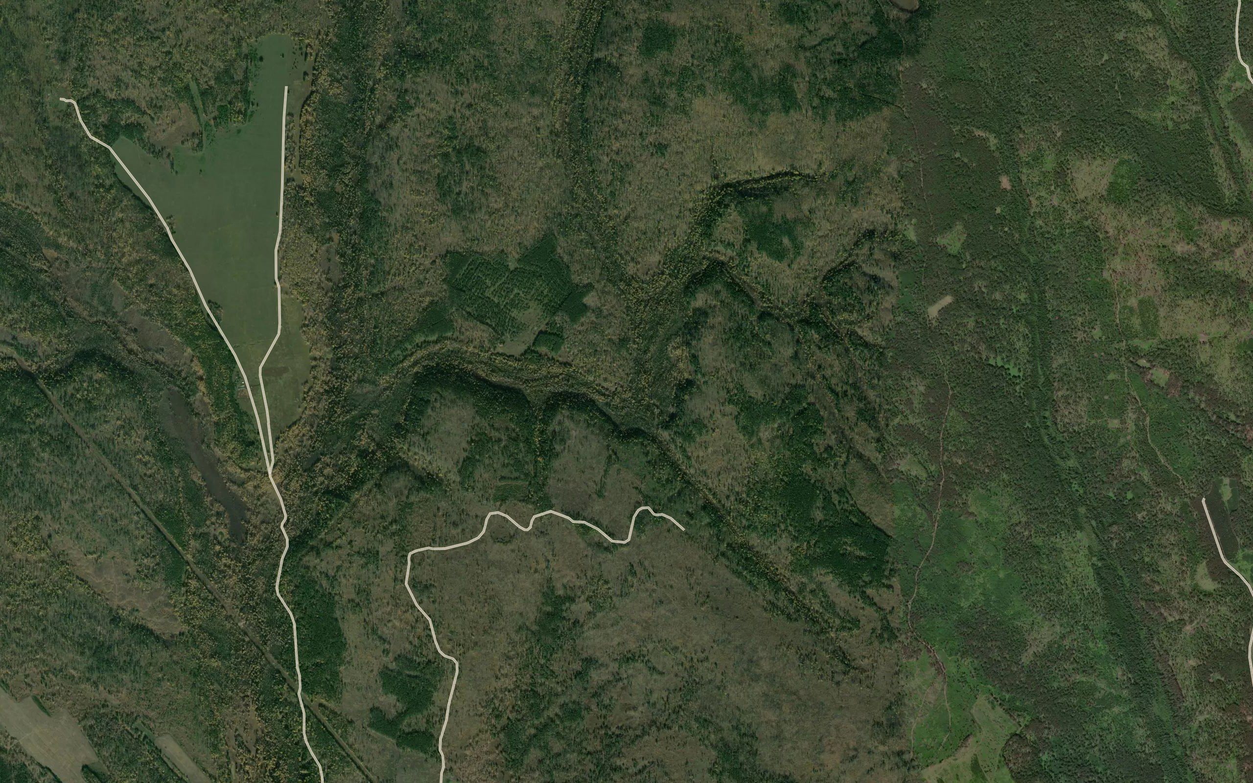 Barkhodayka