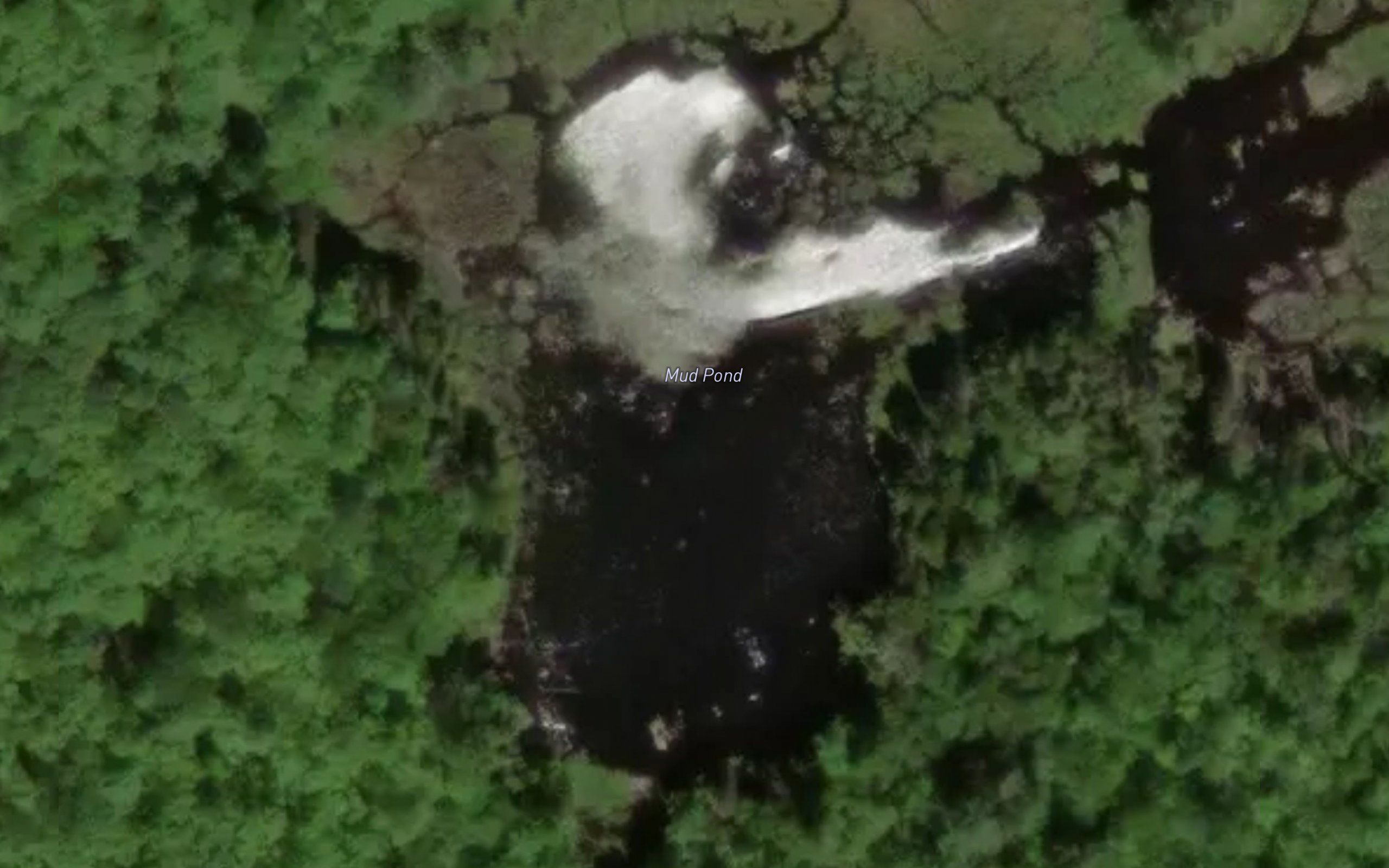 Mud Pond