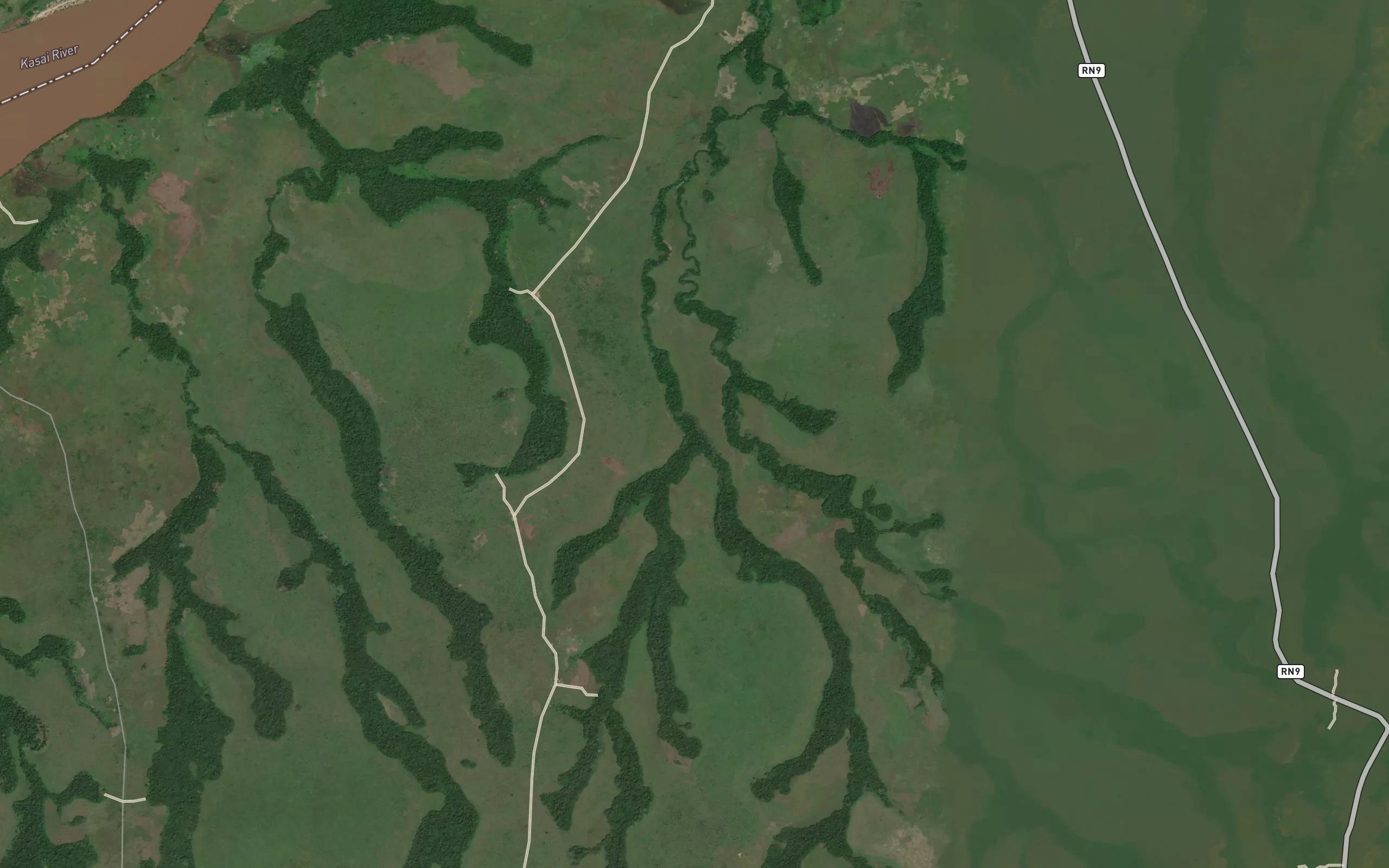 Kankuli