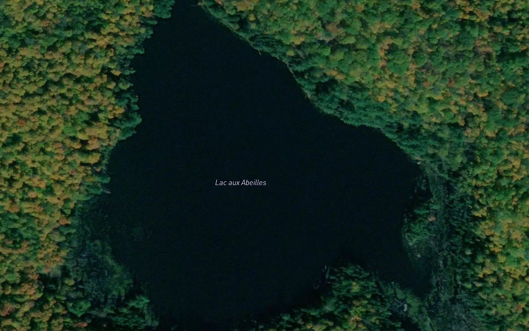 Satellite map of the Lac aux Abeilles