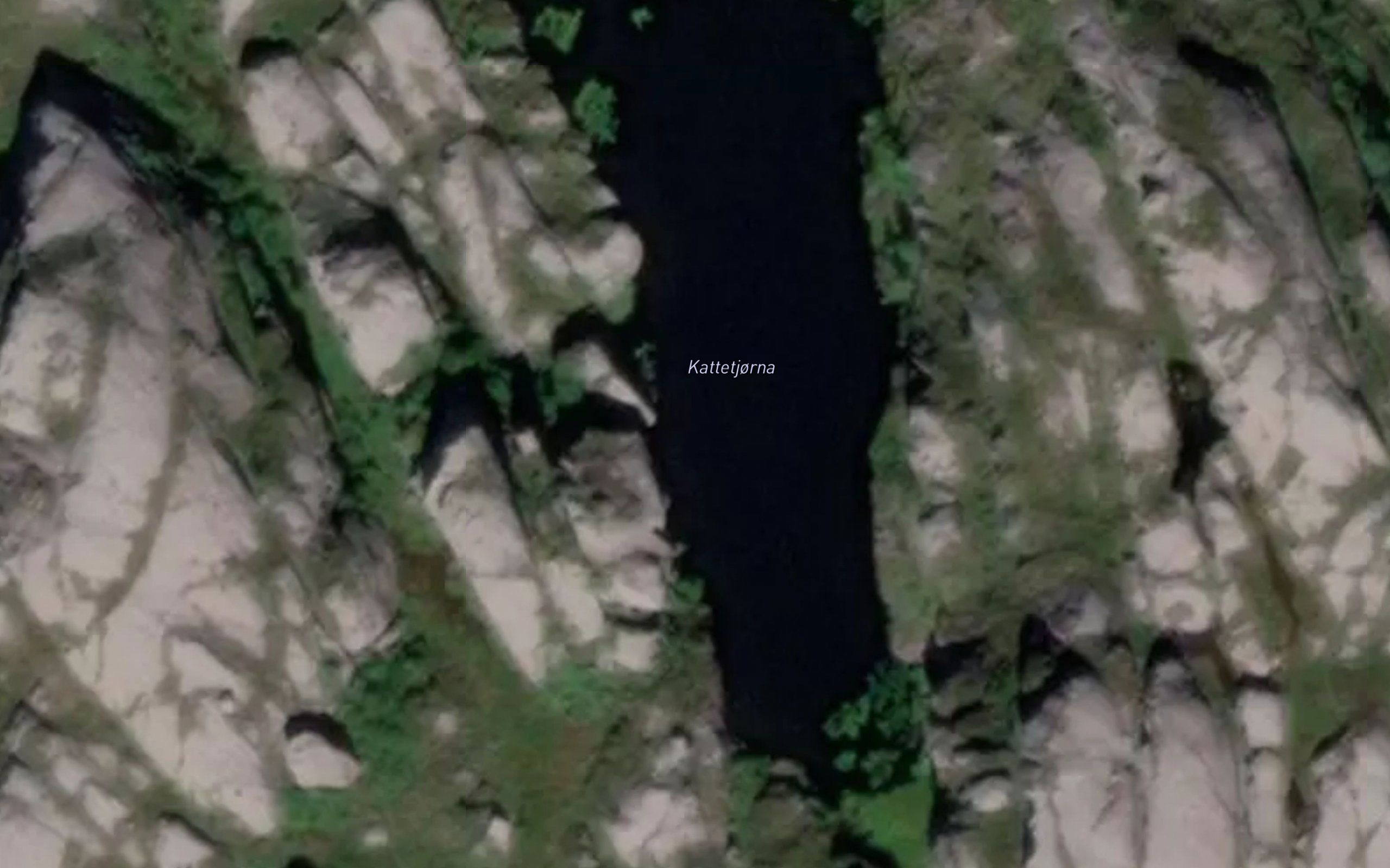 Kattetjorna