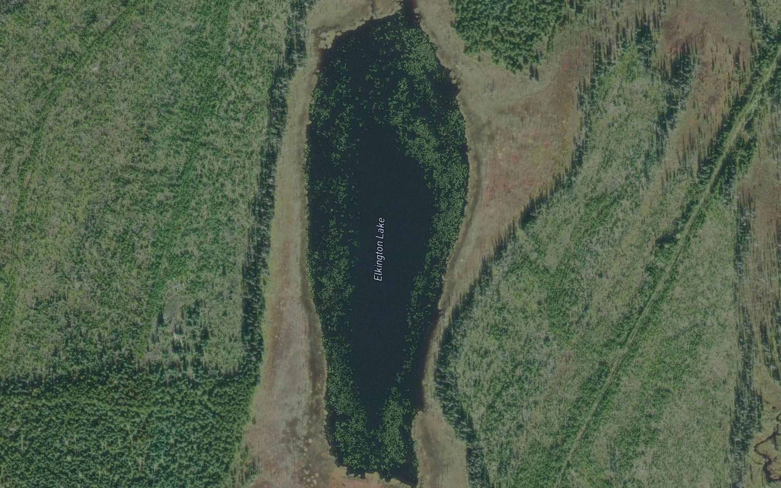 Elkington Lake
