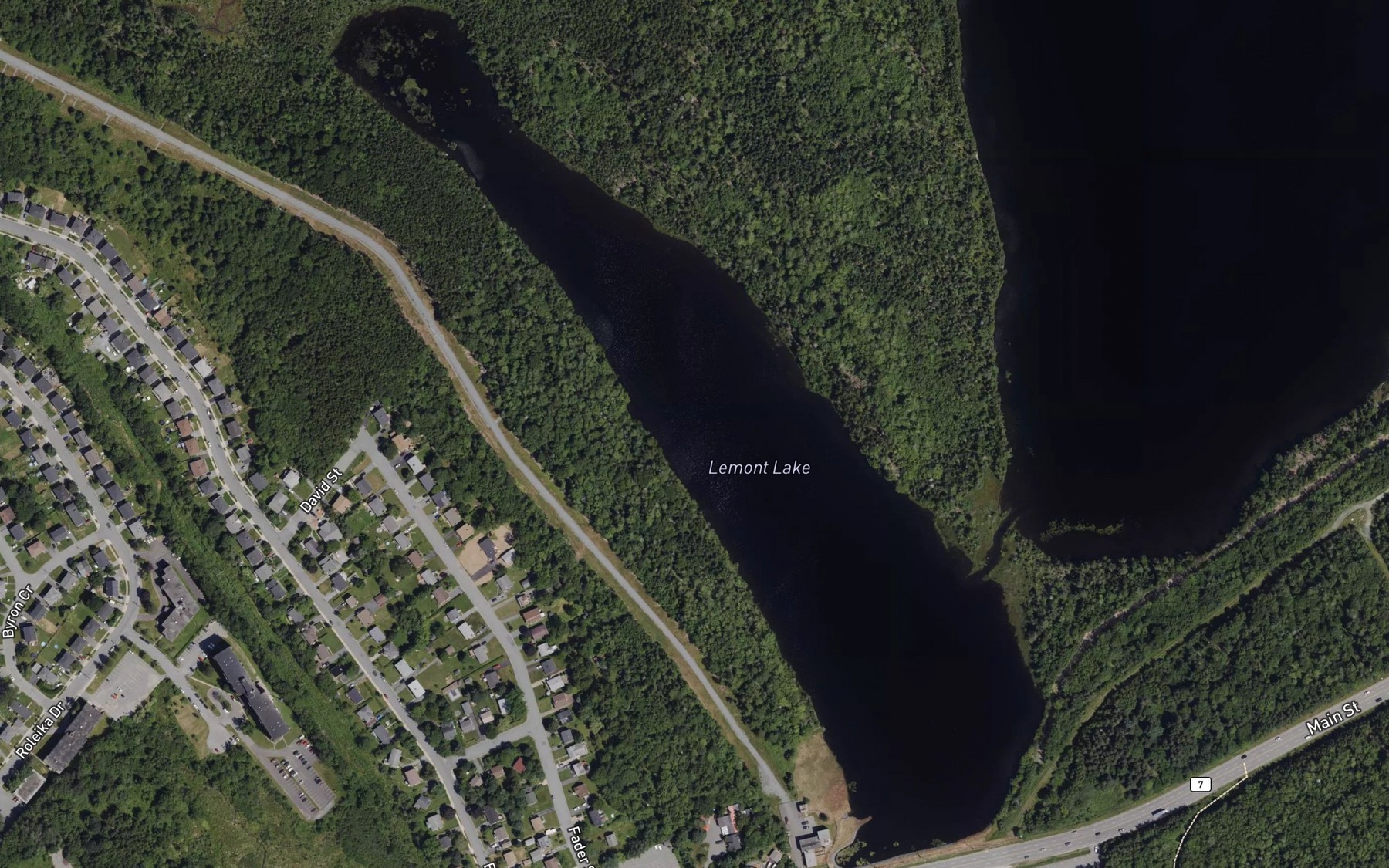 Satellite map of the Lemont Lake