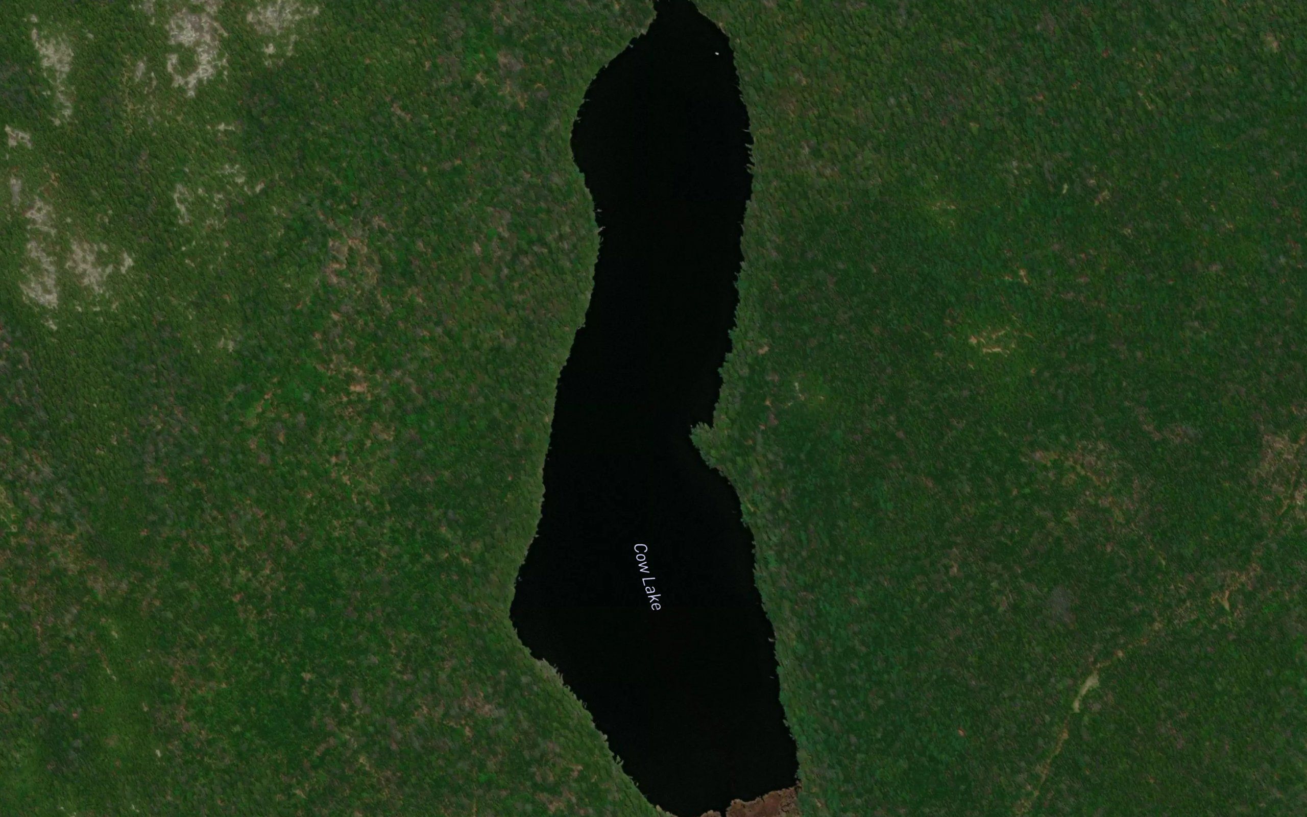 Cow Lake