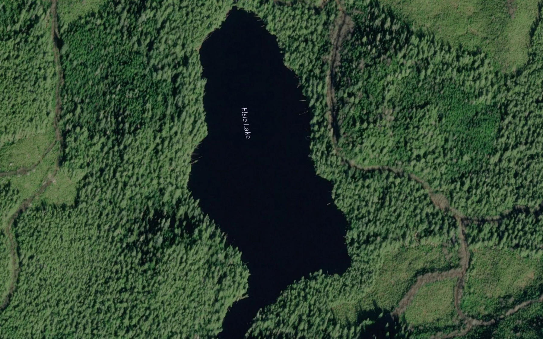 Satellite map of the Elsie Lake