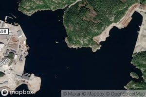 Kalvvika