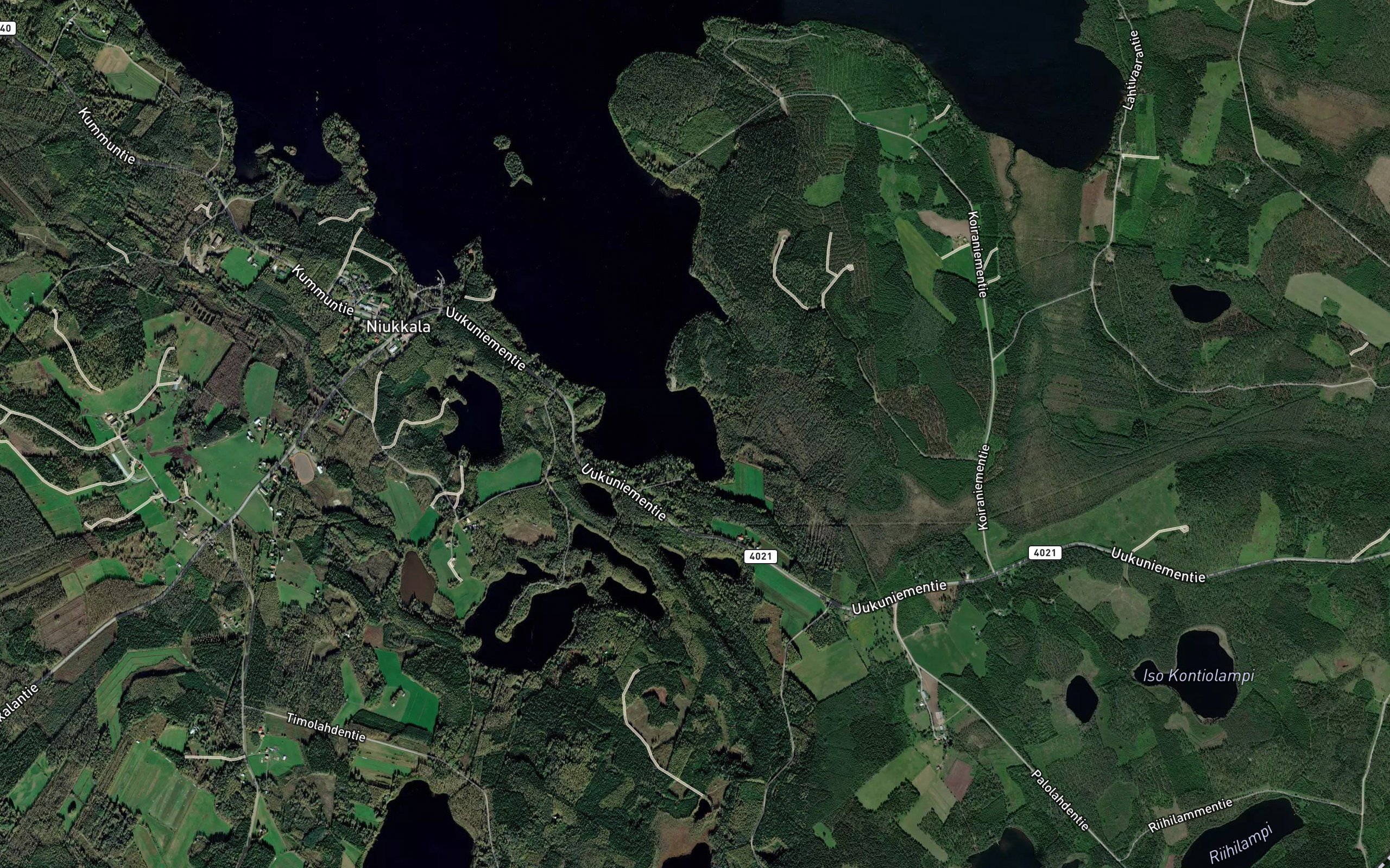 Koiralahti