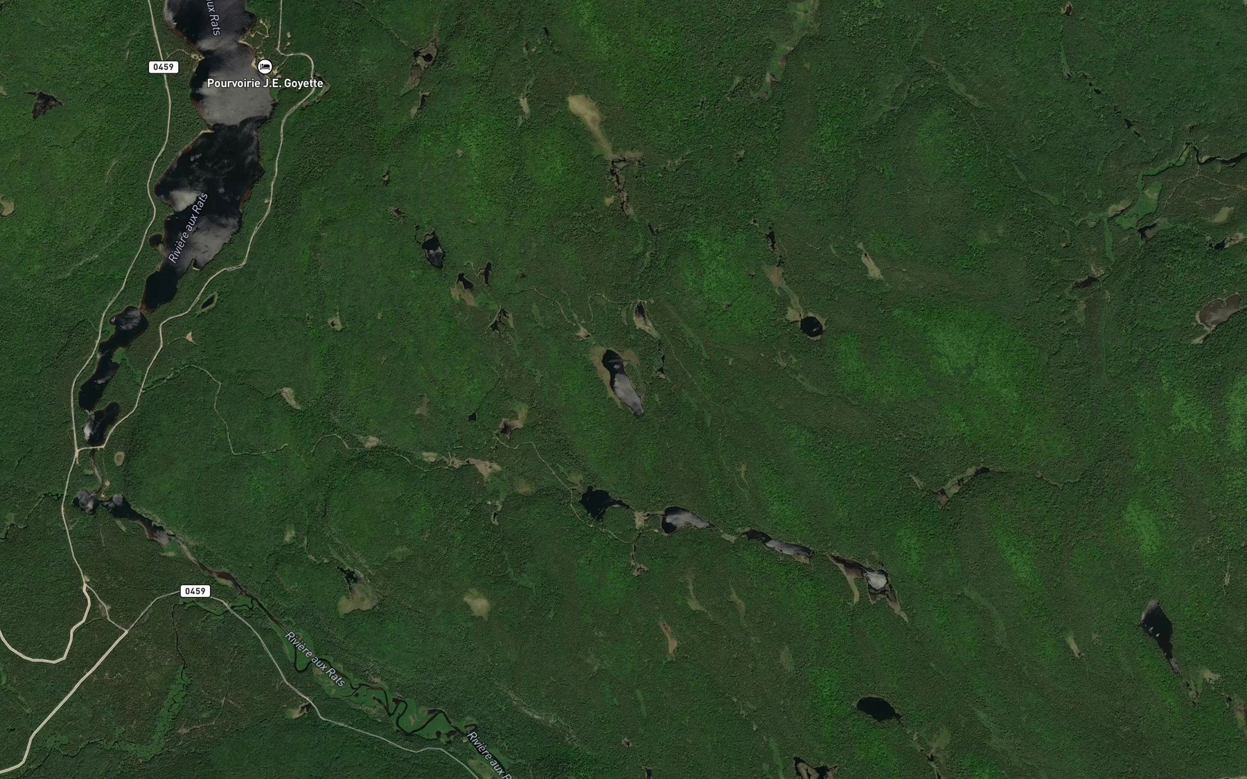 Satellite map of the Grand lac en Famille