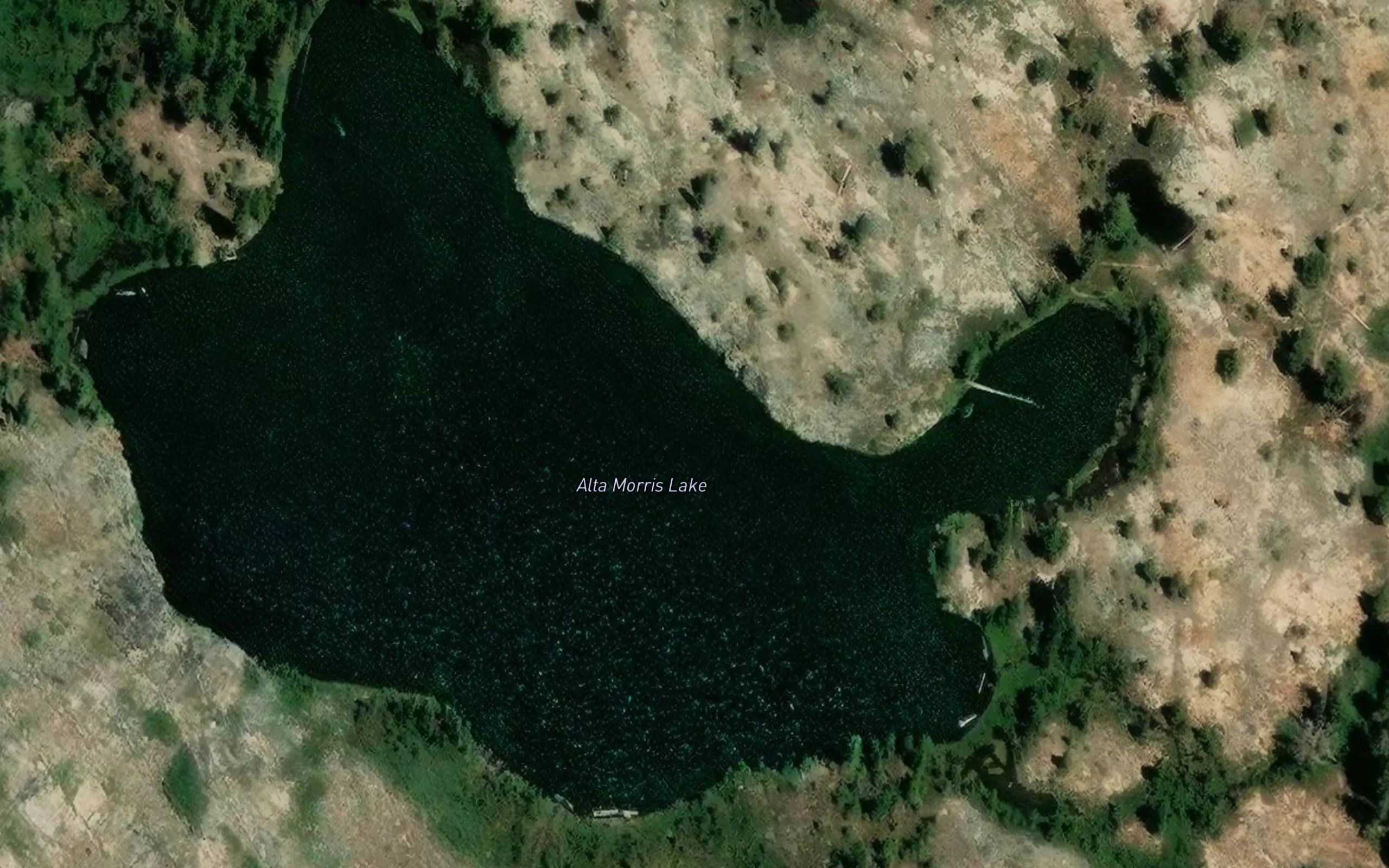 Alta Morris Lake