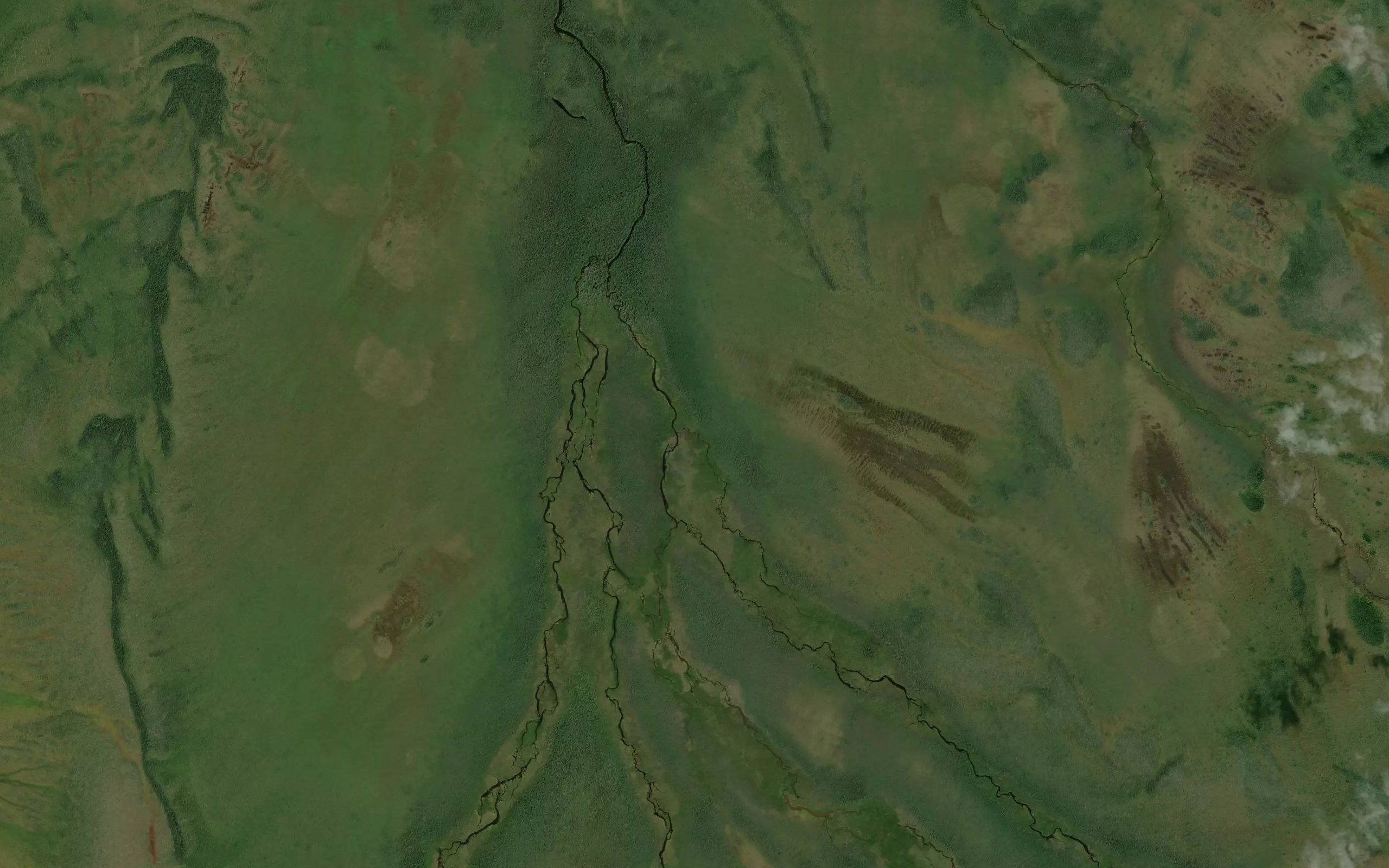 Muskeg Creek