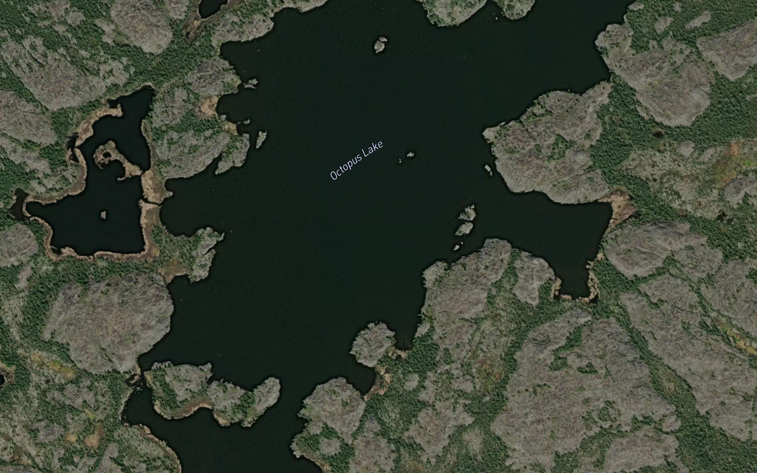 Octopus Lake