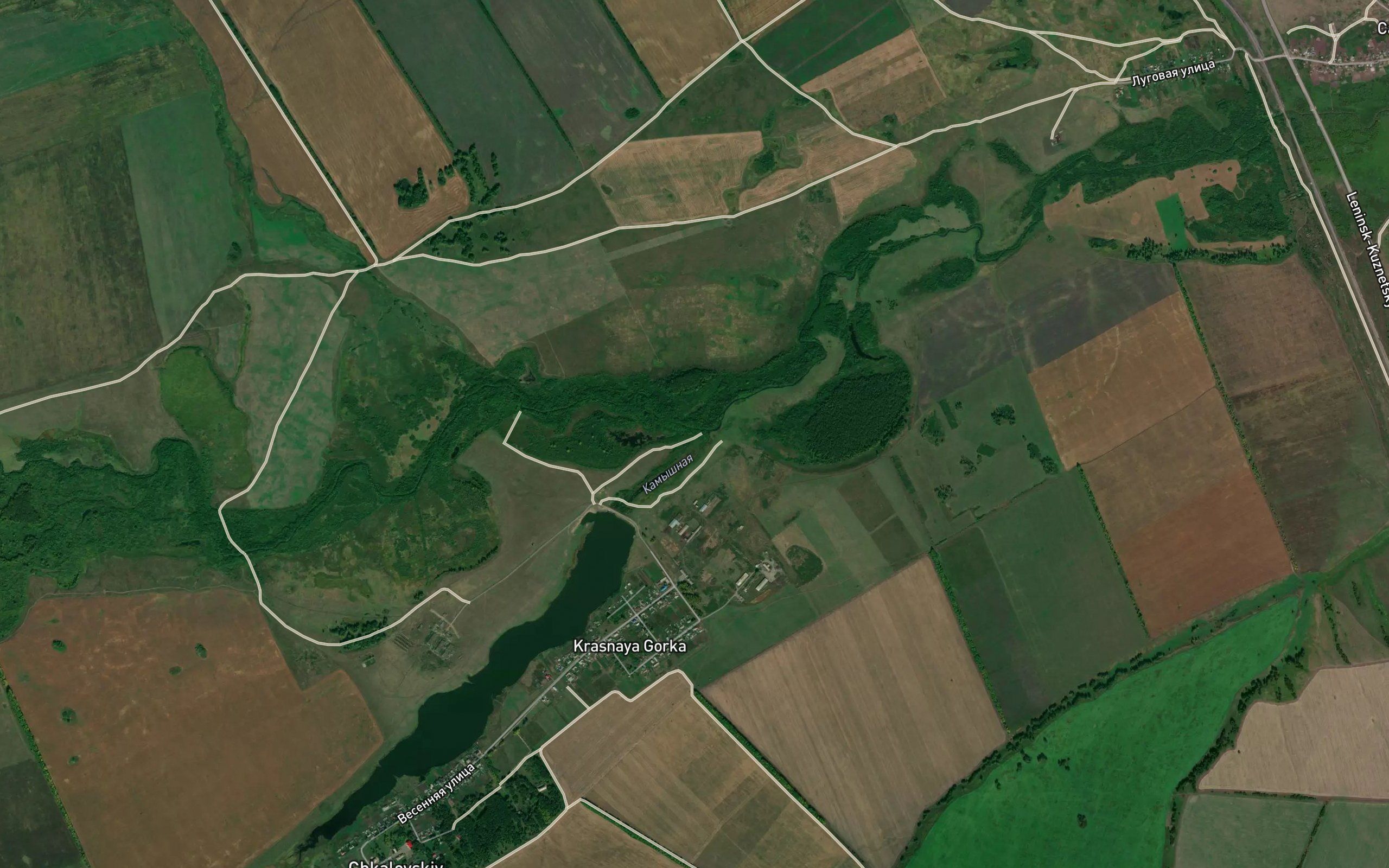 Kamyshnaya