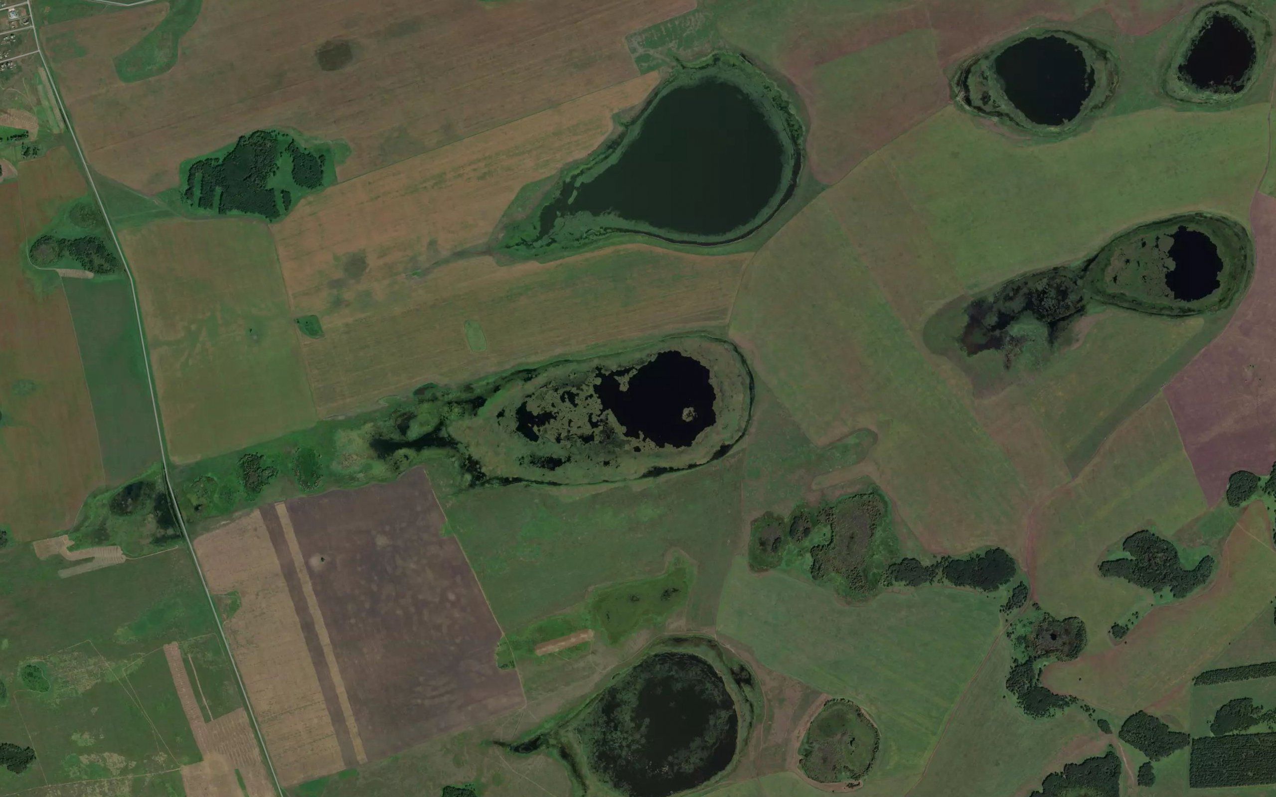 Ozero Kamyshnoye