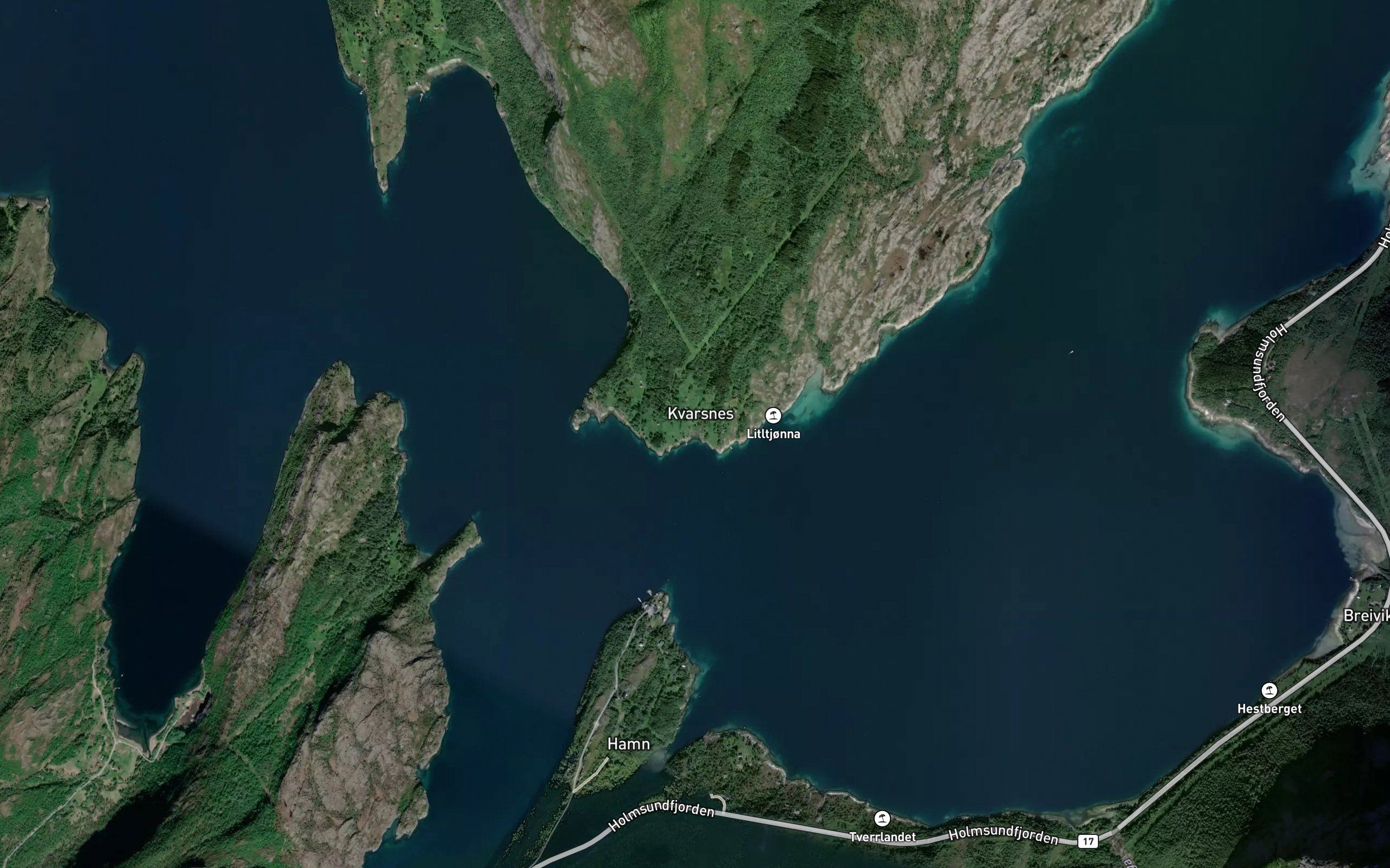 Naustvika