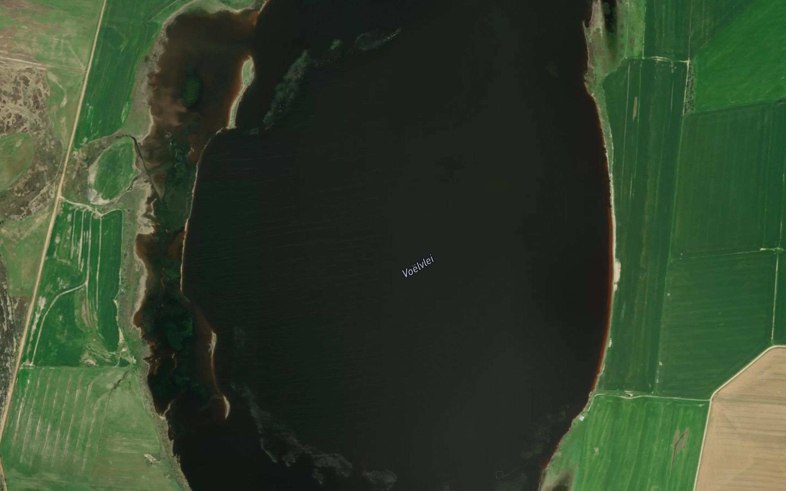Voelvlei