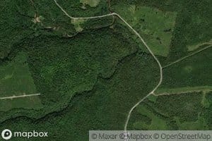 Wasson Brook