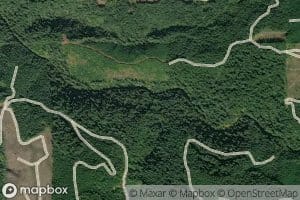Ella Creek