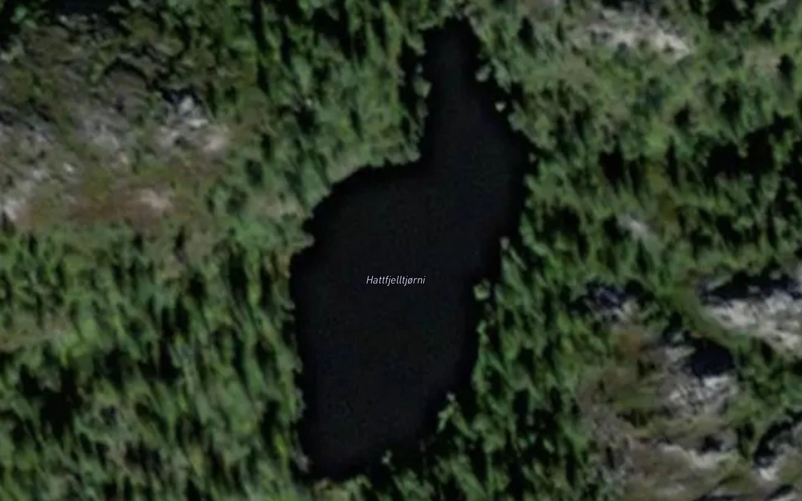 Hattfjelltjorni