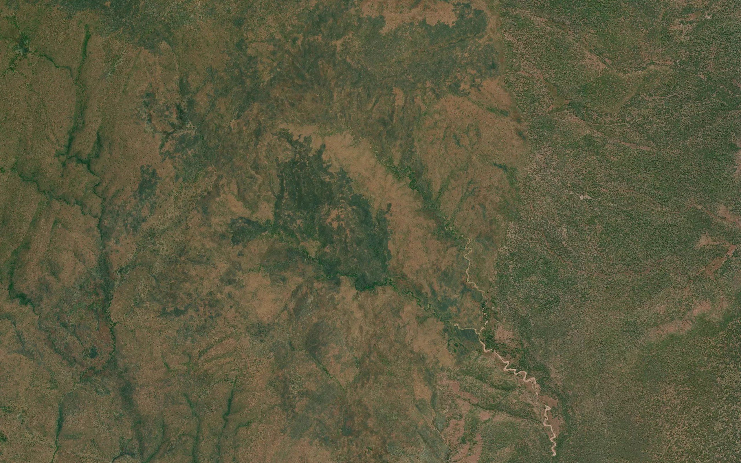 Chinongongo wa Awisa