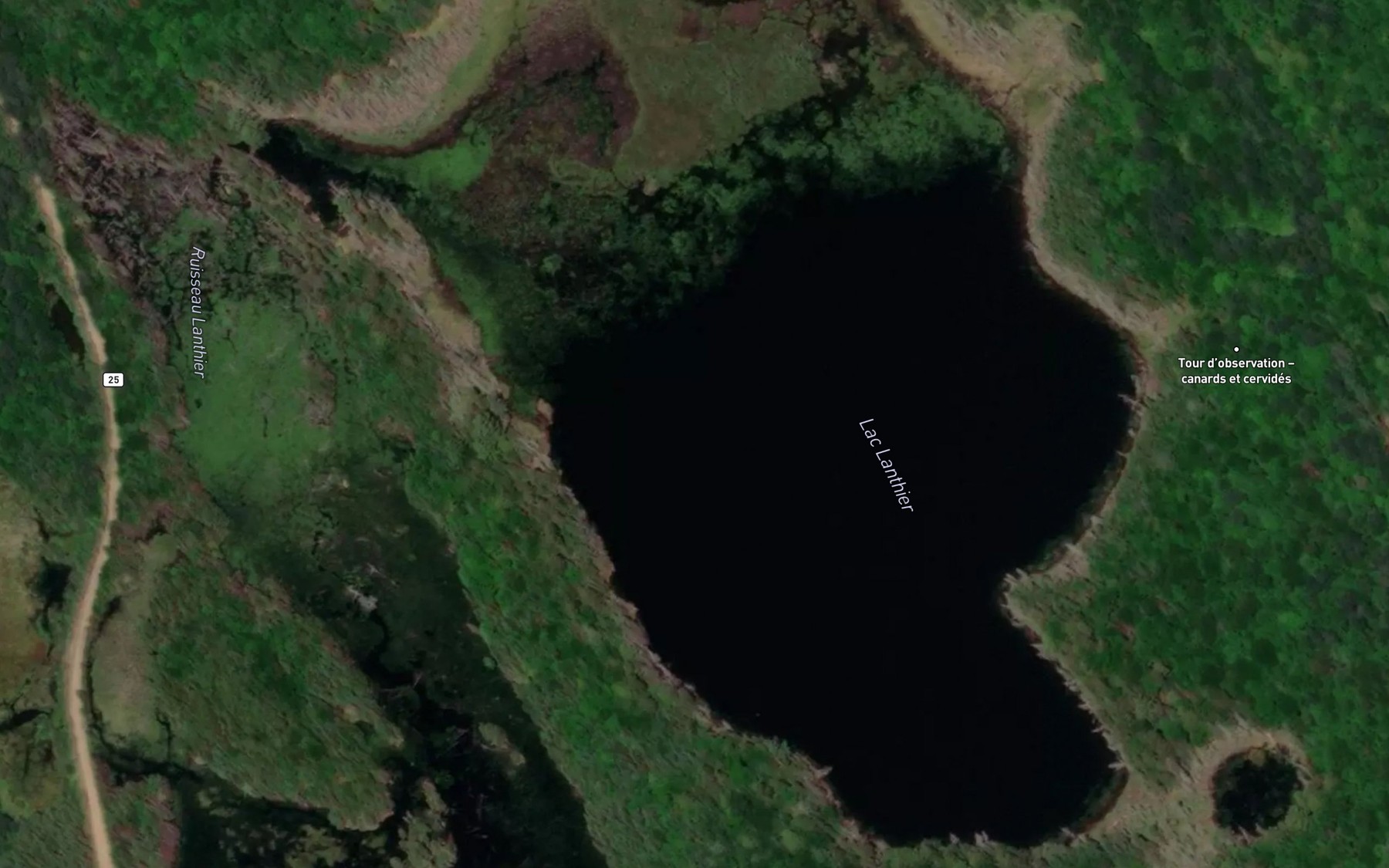 Satellite map of the Lac Lanthier
