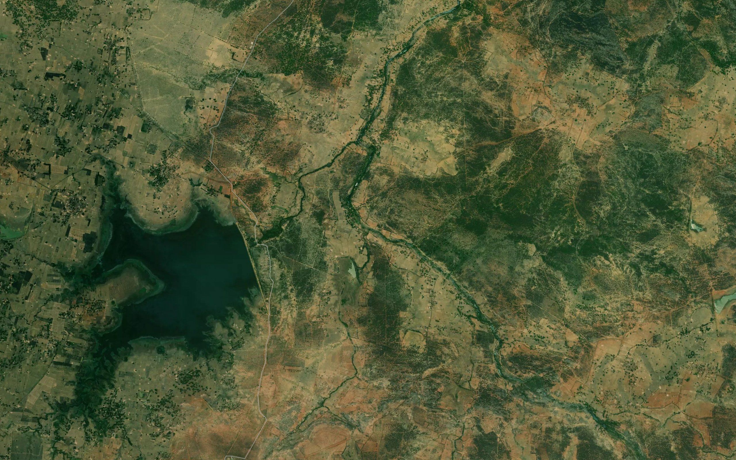 Danugara Nala