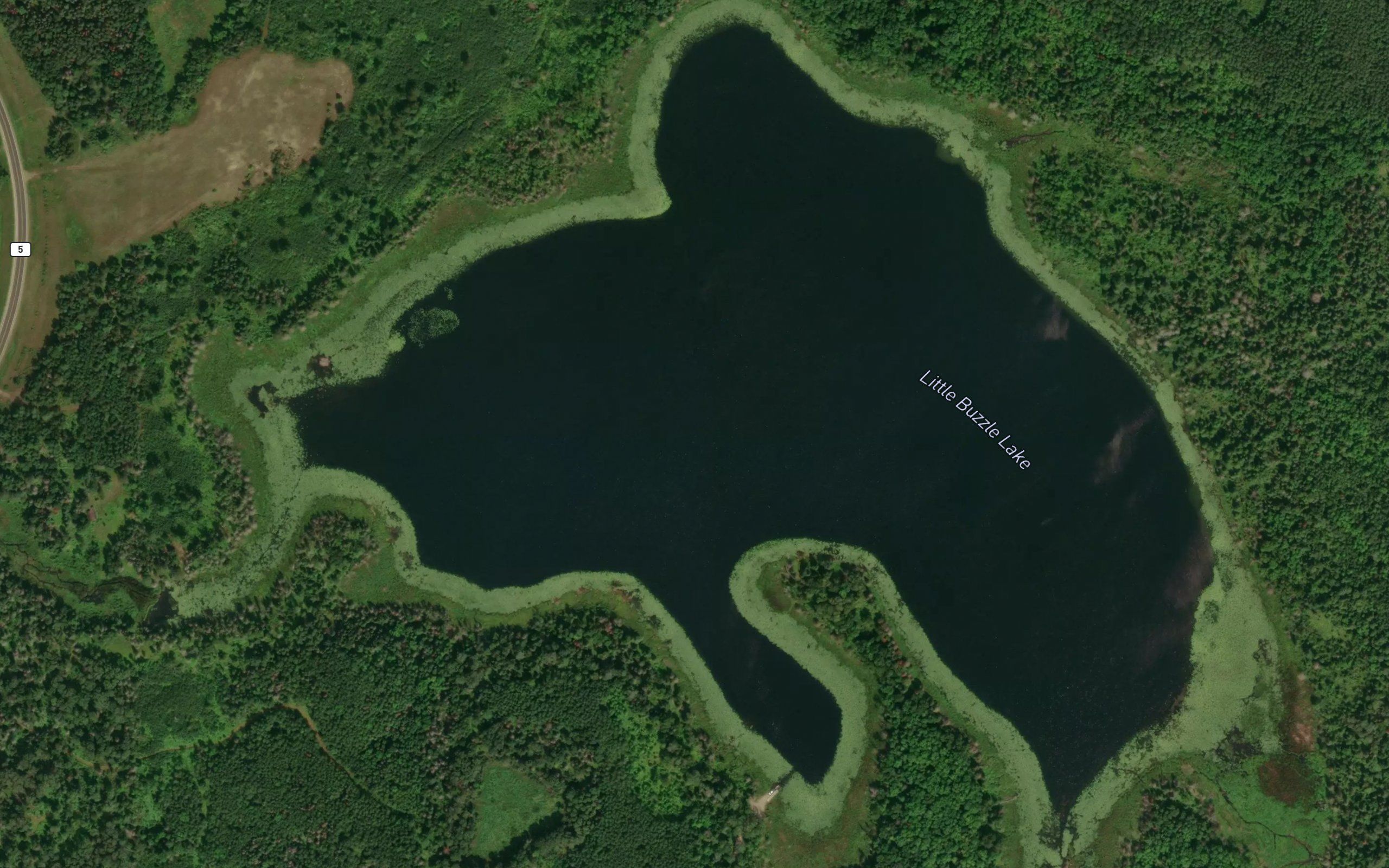 Little Buzzle Lake
