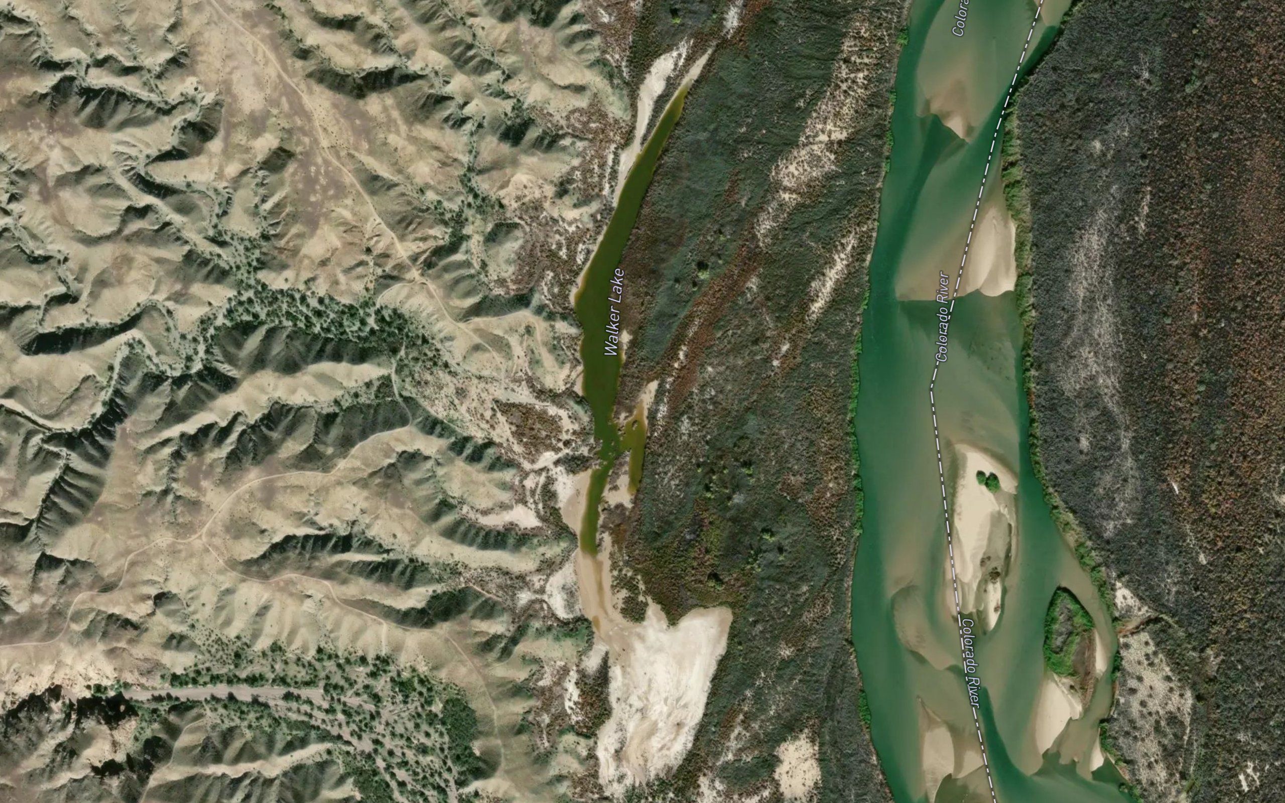 Walker Lake