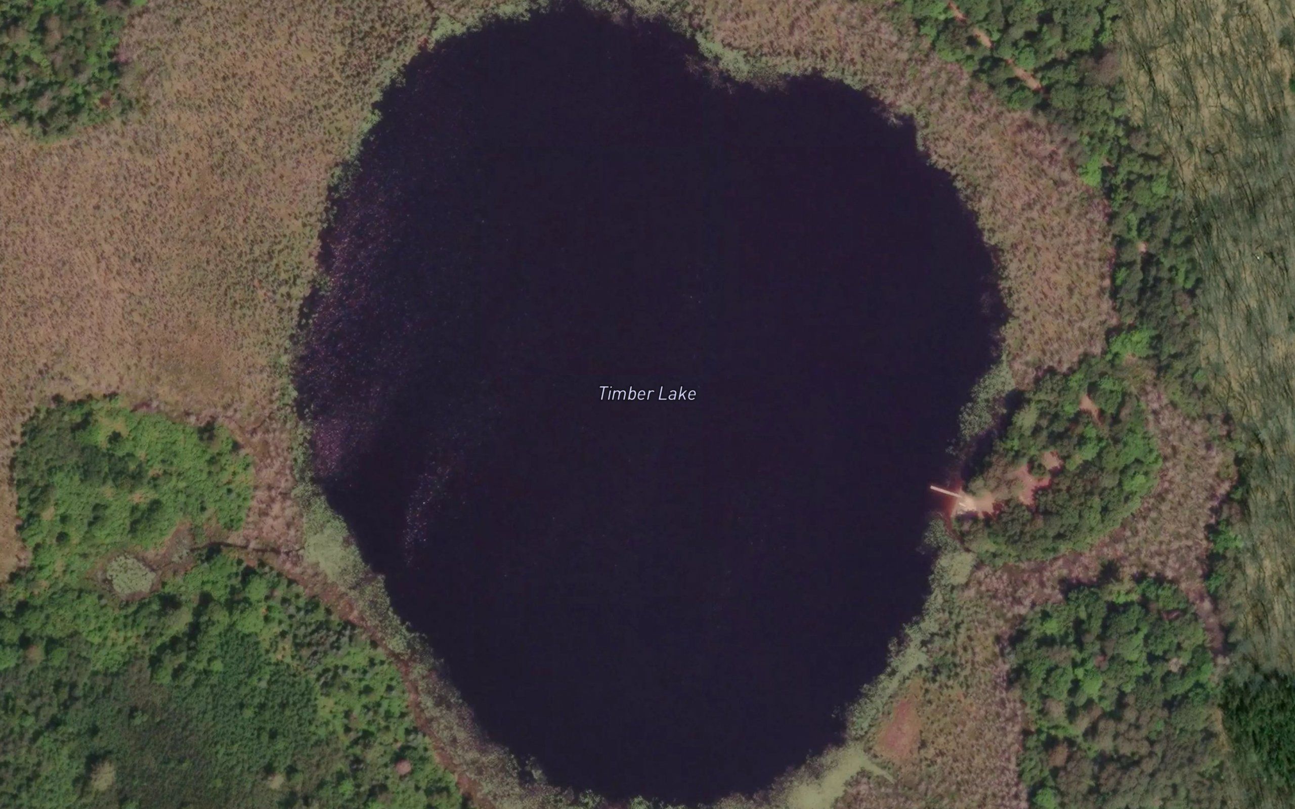 Timber Lake