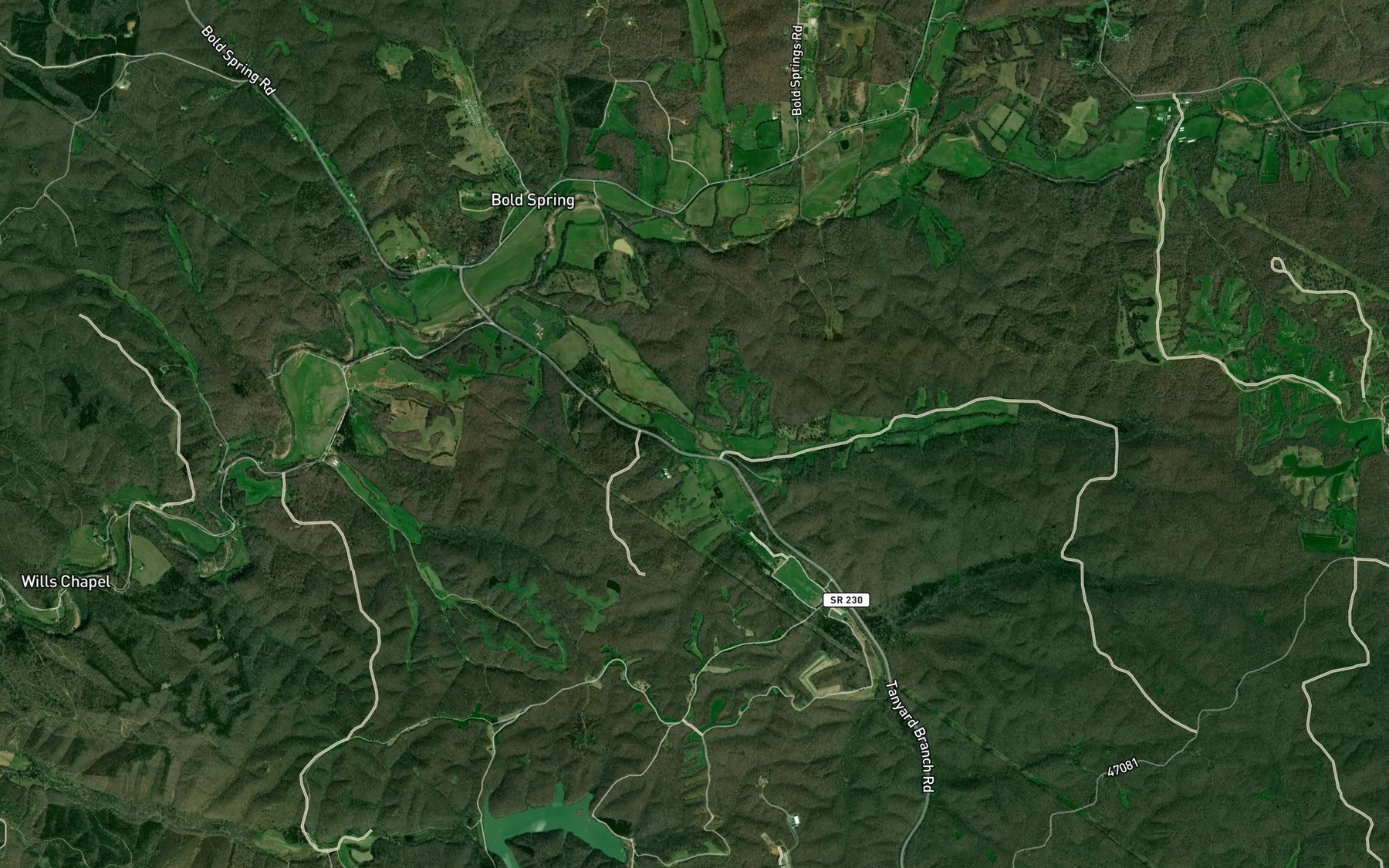 Satellite map of the Rice Branch