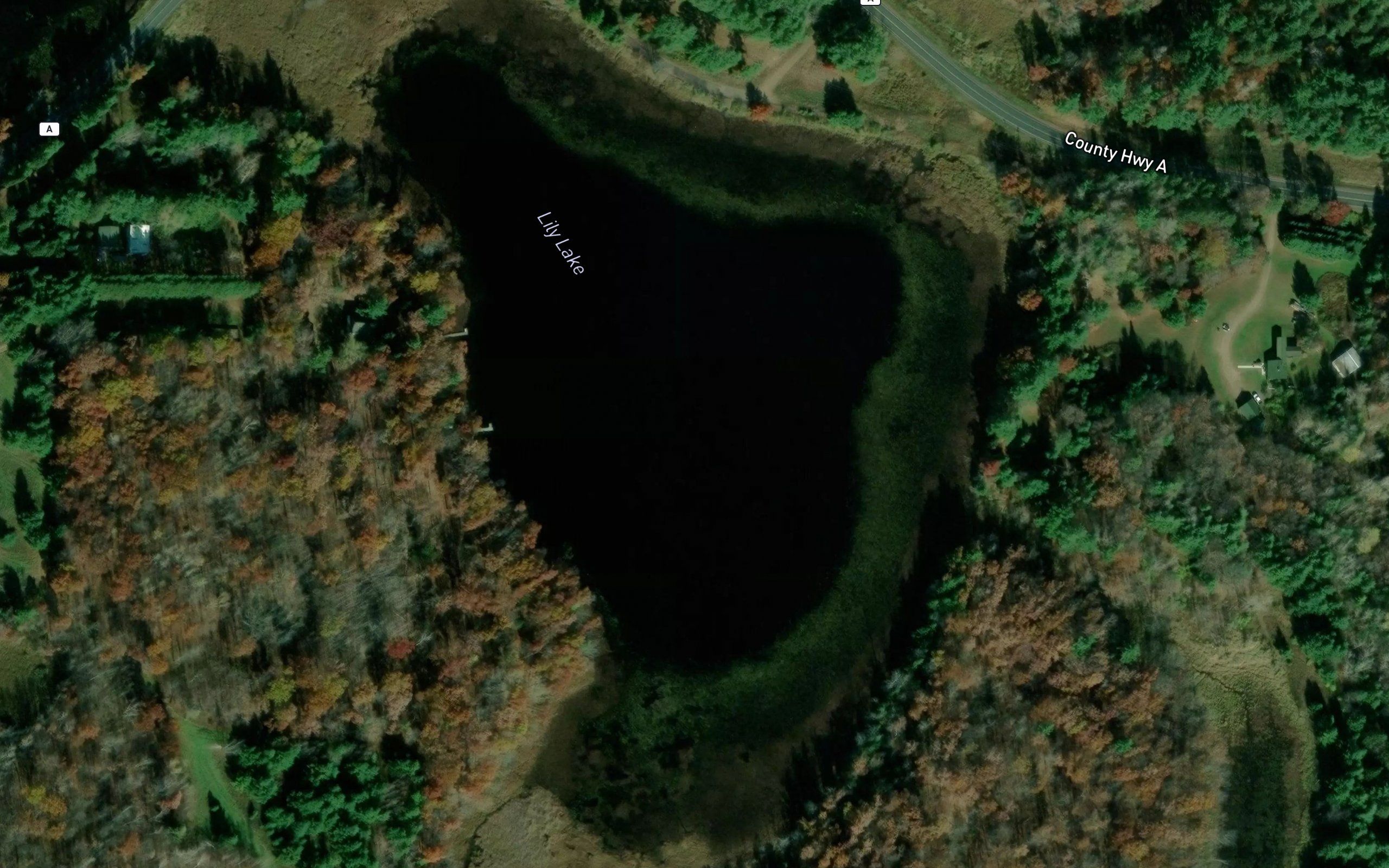 Lily Lake
