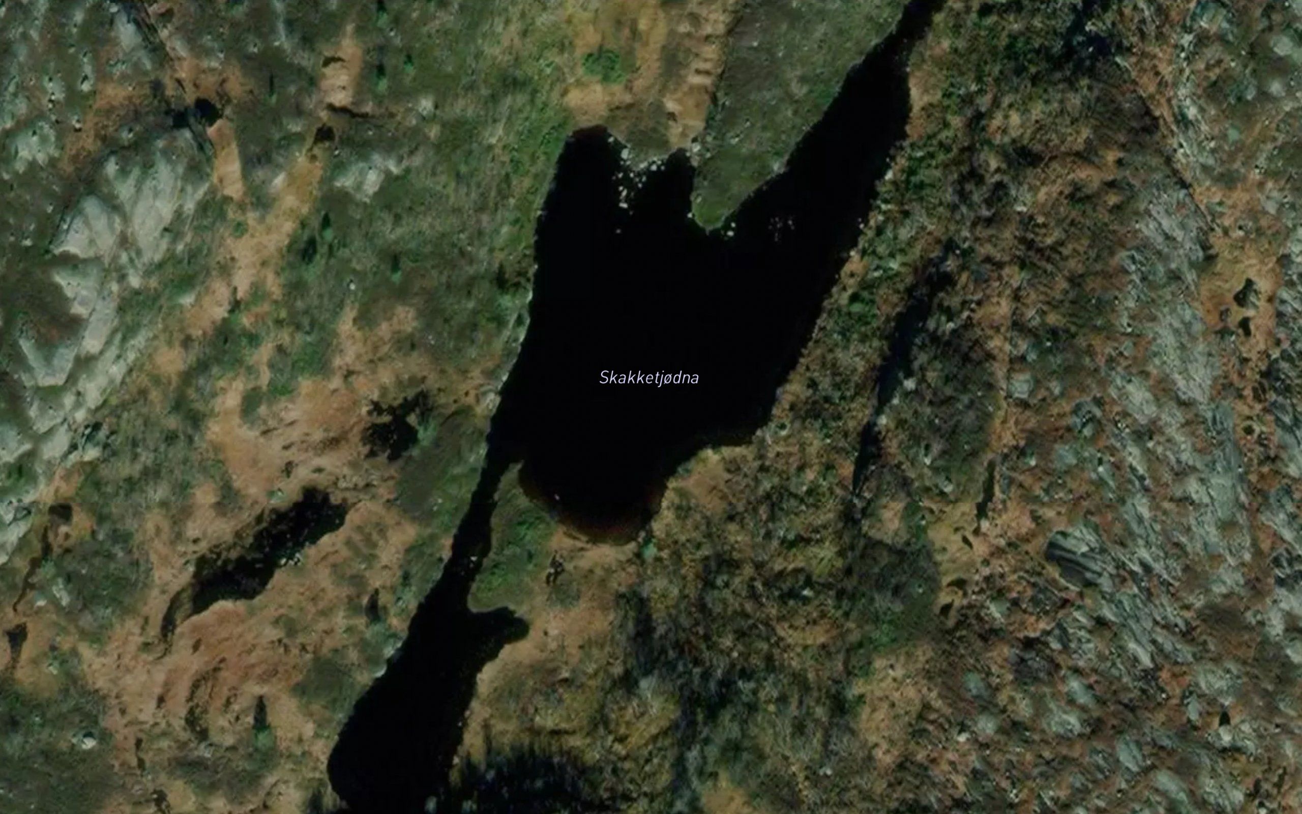 Skakketjorni
