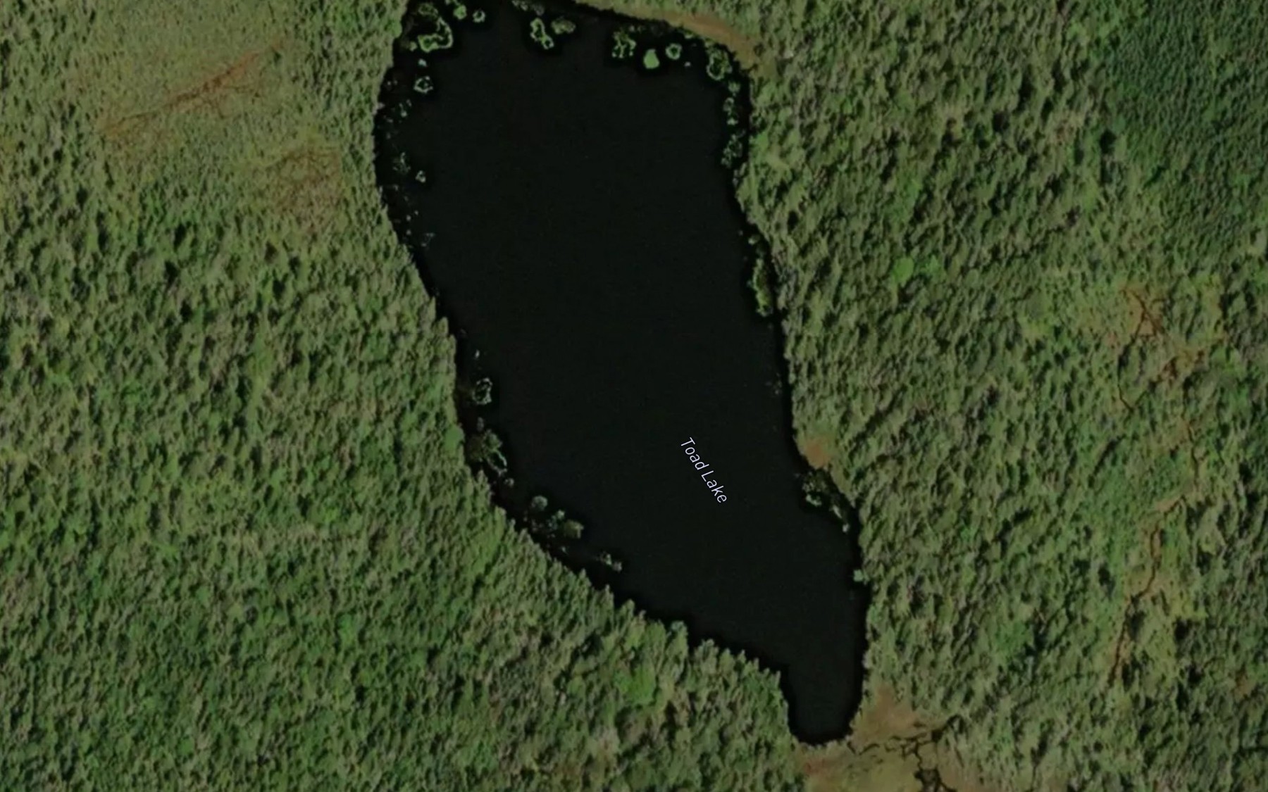 Satellite map of the Toad Lake