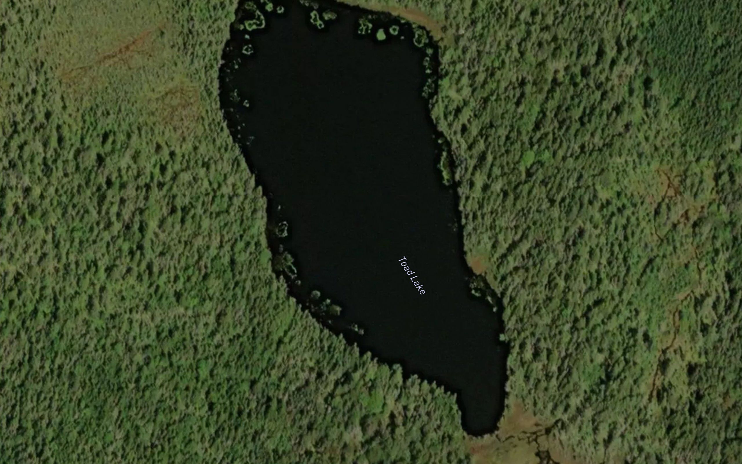 Toad Lake