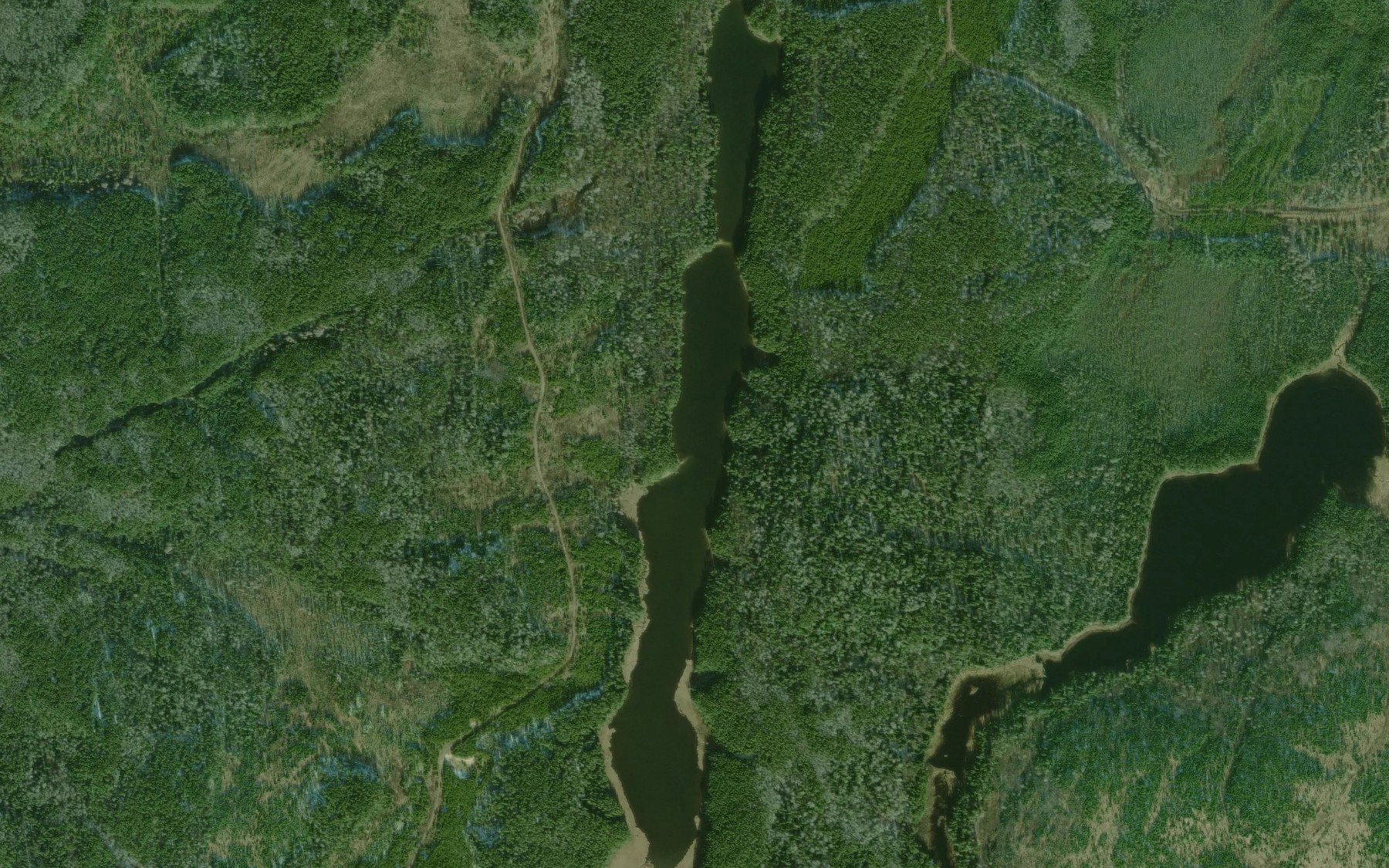 Satellite map of the Long Pond Lake