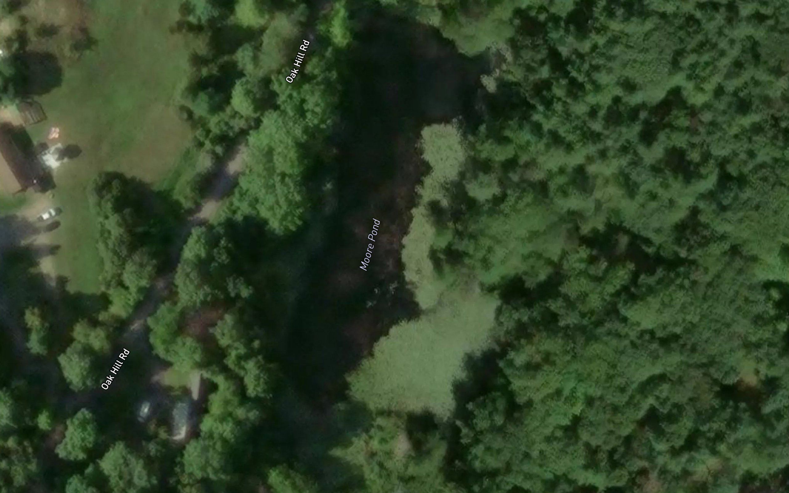 Moore Pond