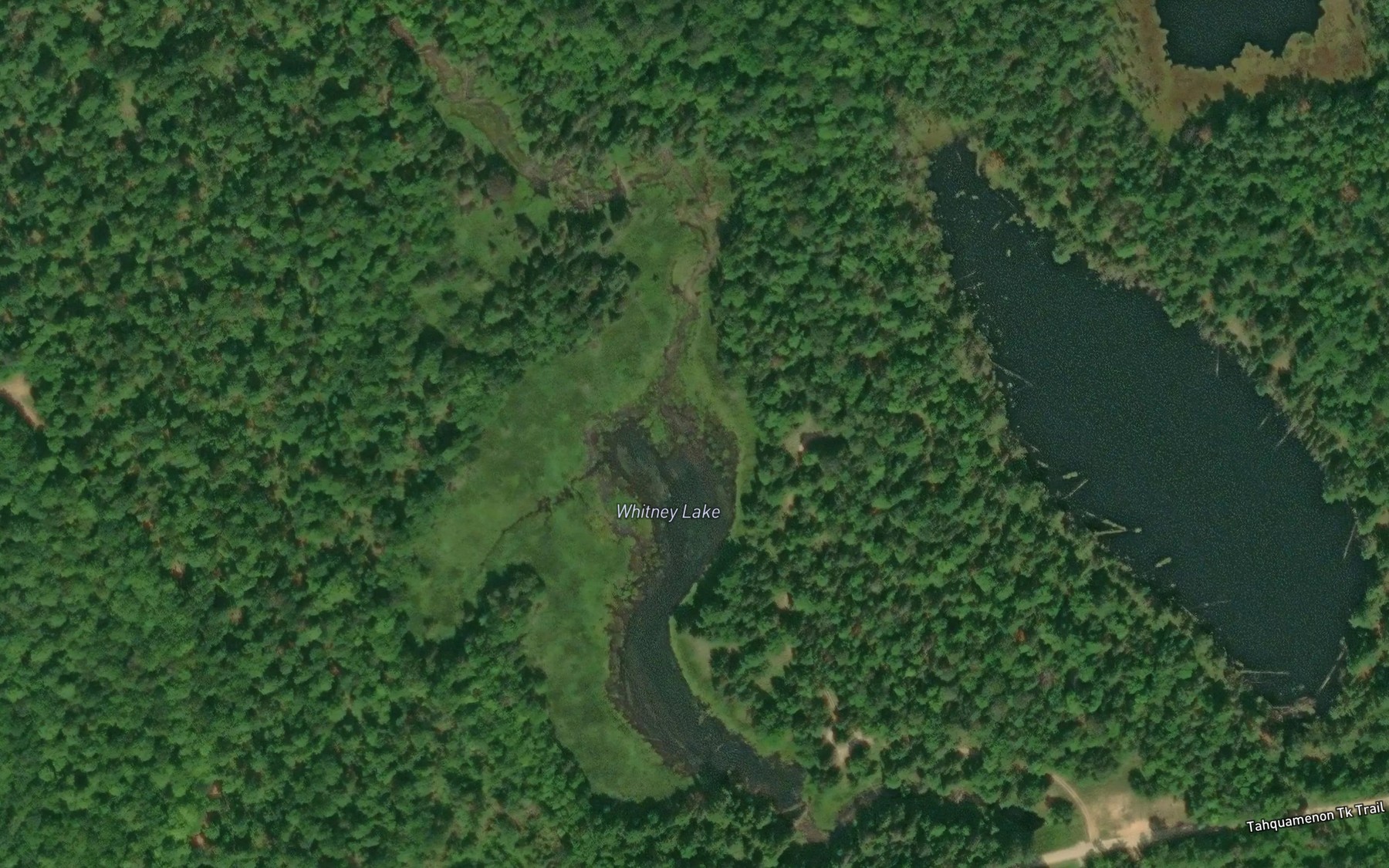 Satellite map of the Whitney Lake