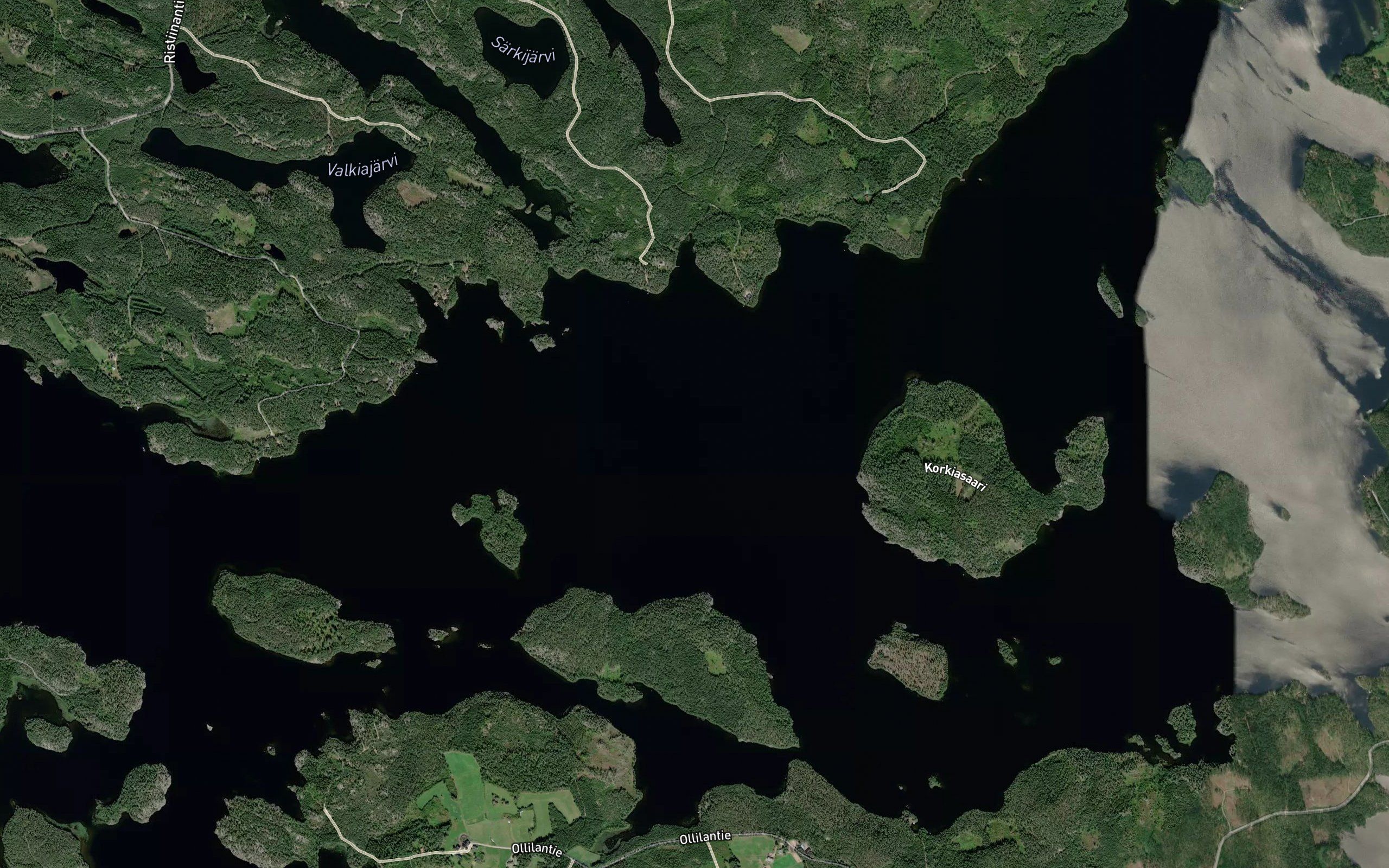 Ruokovesi