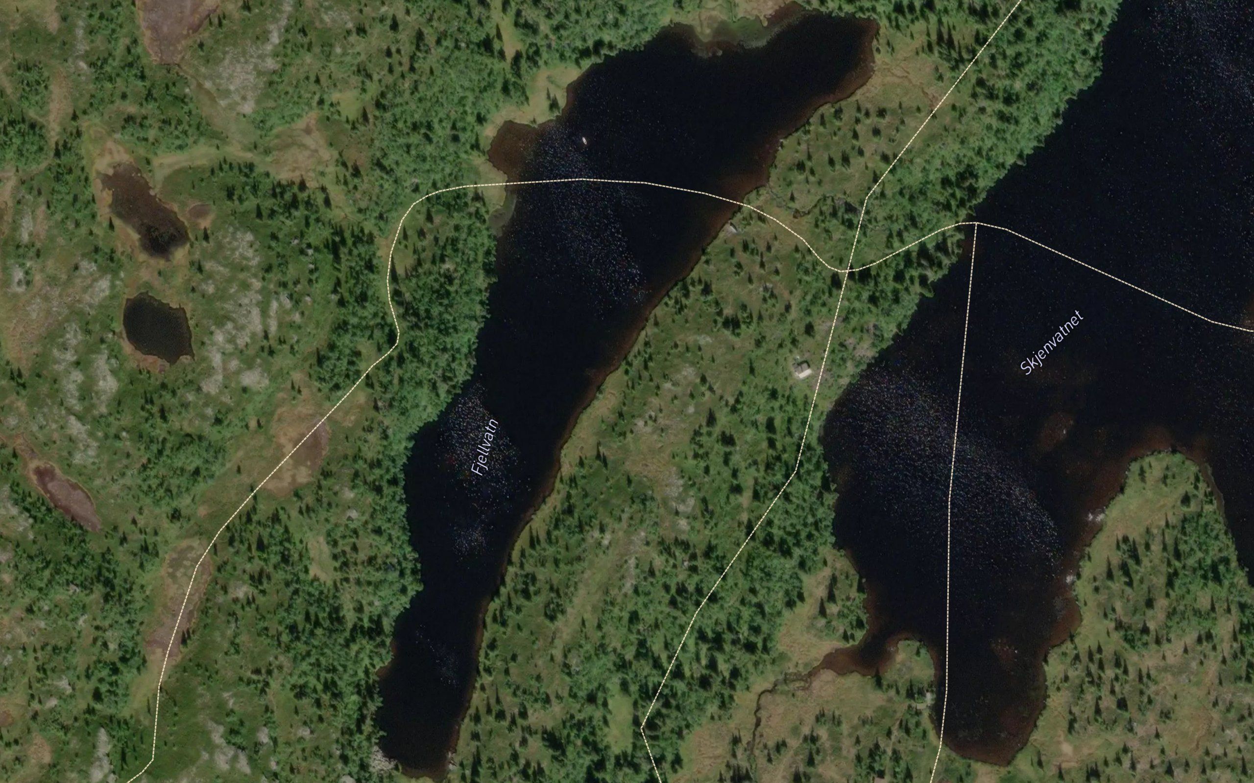 Fjellvatnet